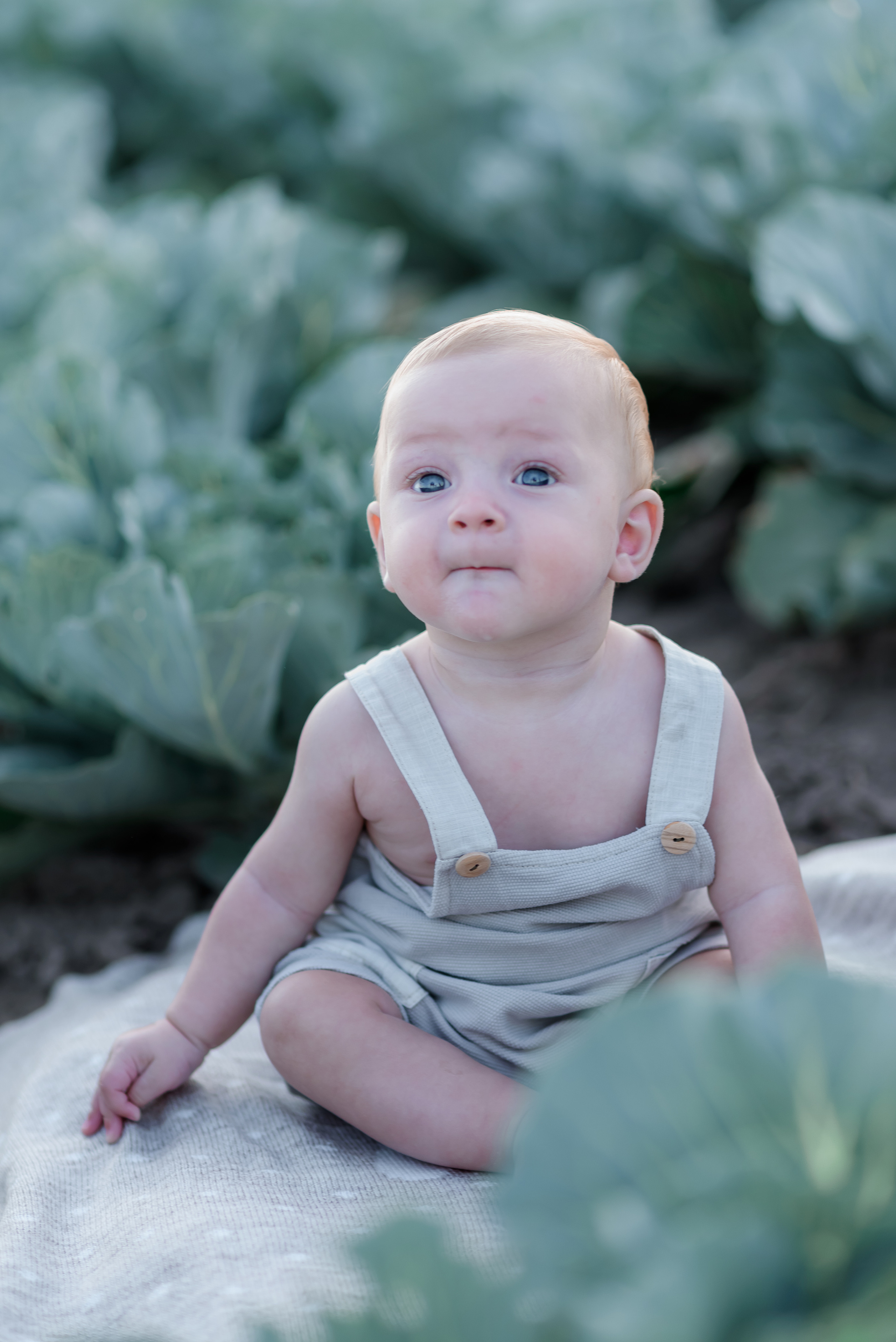 Сімейна в капусті. Надя з родиною. Сімейний та дитячий фотограф в Києві та Ірпені Тетяна Чайка