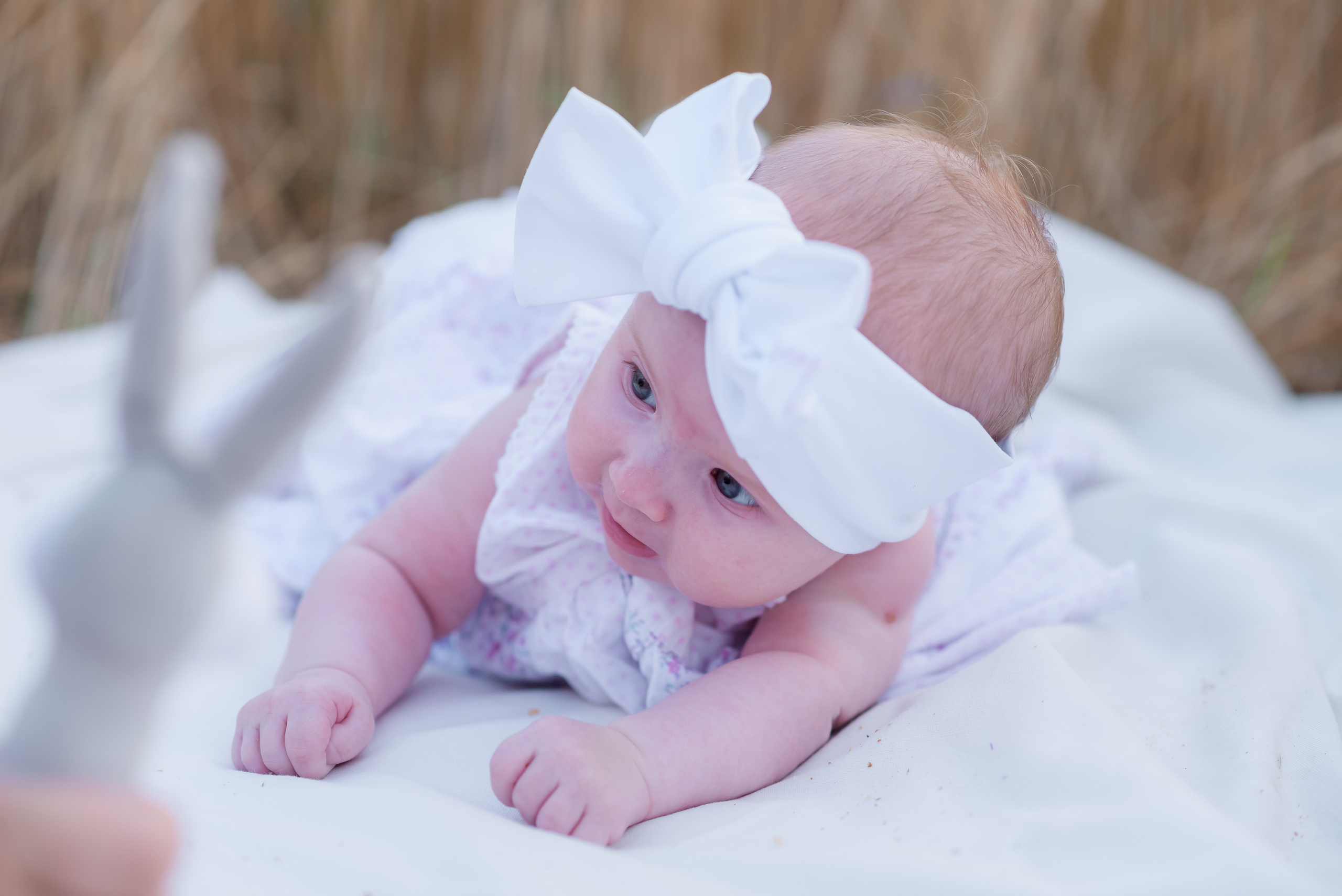 Валерія з родиною. Сімейний та дитячий фотограф в Києві та Ірпені Тетяна Чайка