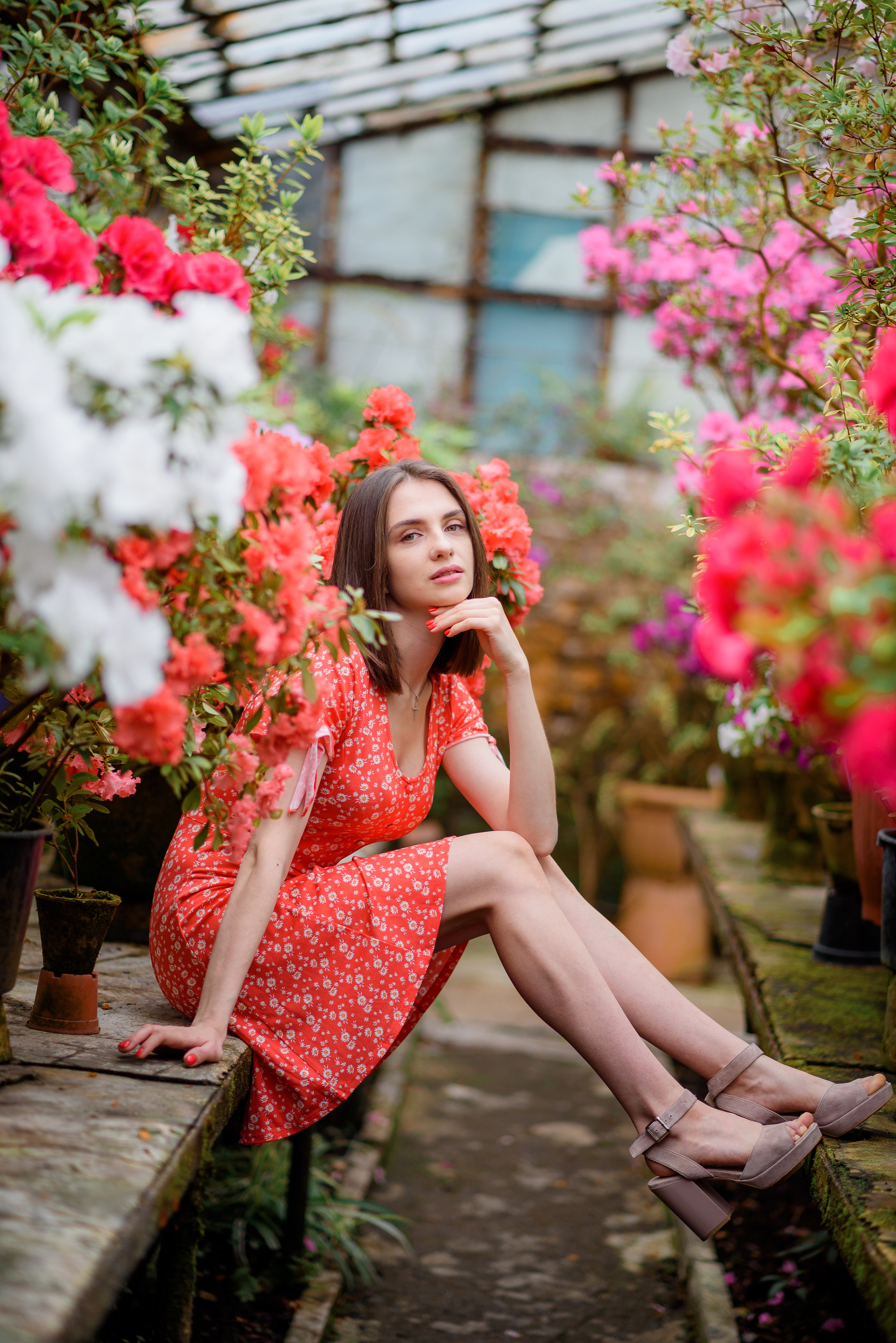 Богдана в азаліях. Сімейний та дитячий фотограф в Києві та Ірпені Тетяна Чайка