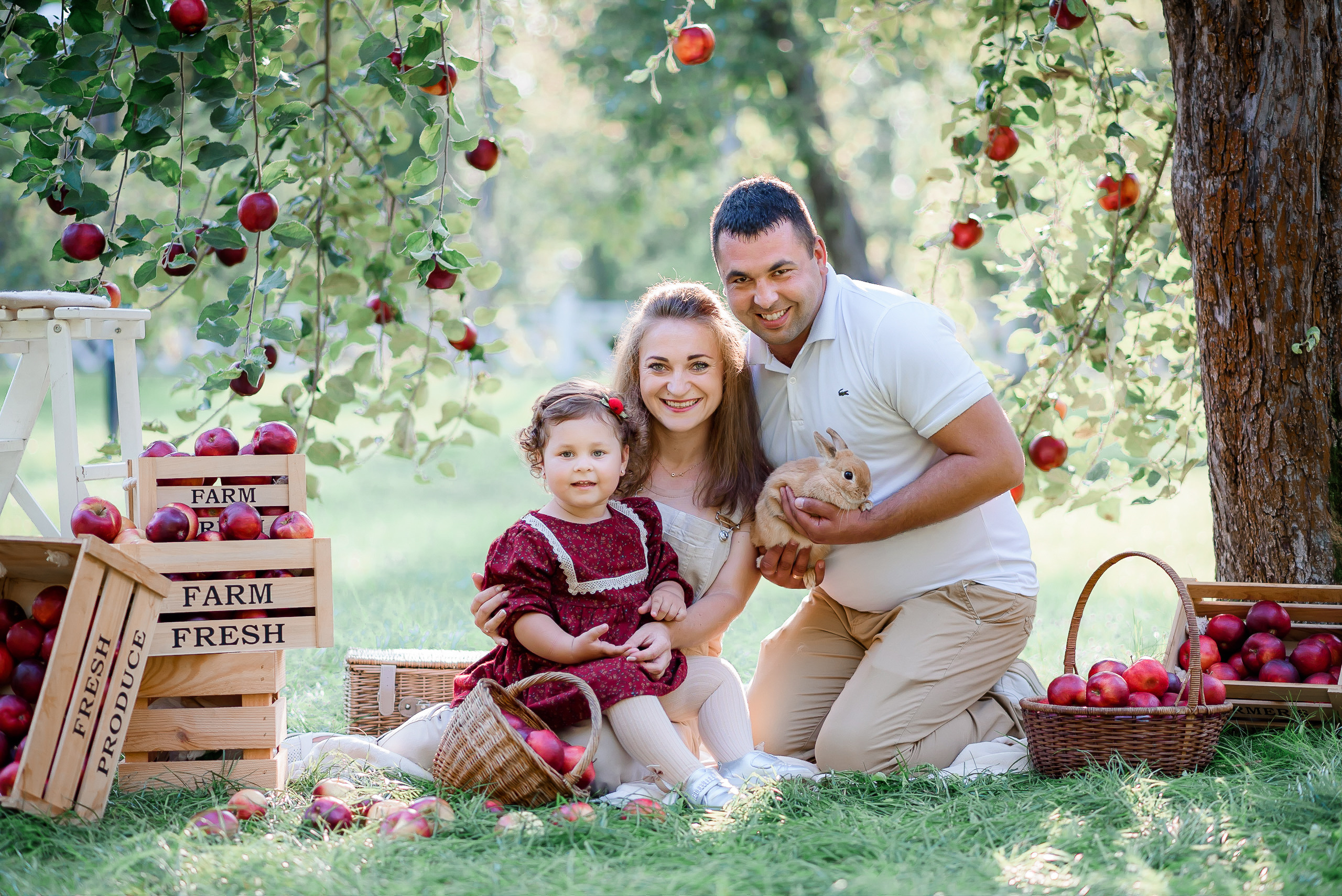 Збір врожаю (з яблоками та кавунами). Сімейний та дитячий фотограф в Києві та Ірпені Тетяна Чайка