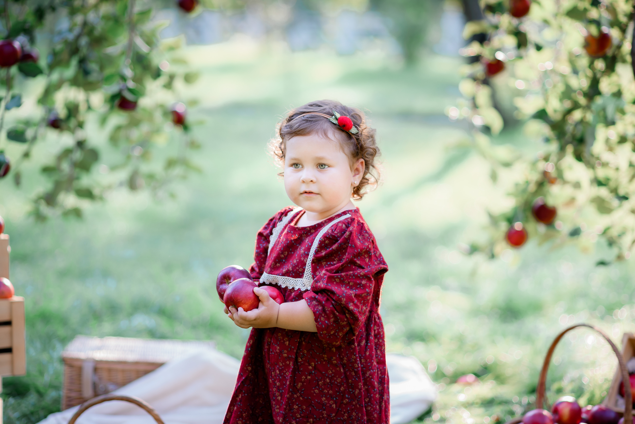 Збір врожаю (з яблоками та кавунами). Сімейний та дитячий фотограф в Києві та Ірпені Тетяна Чайка
