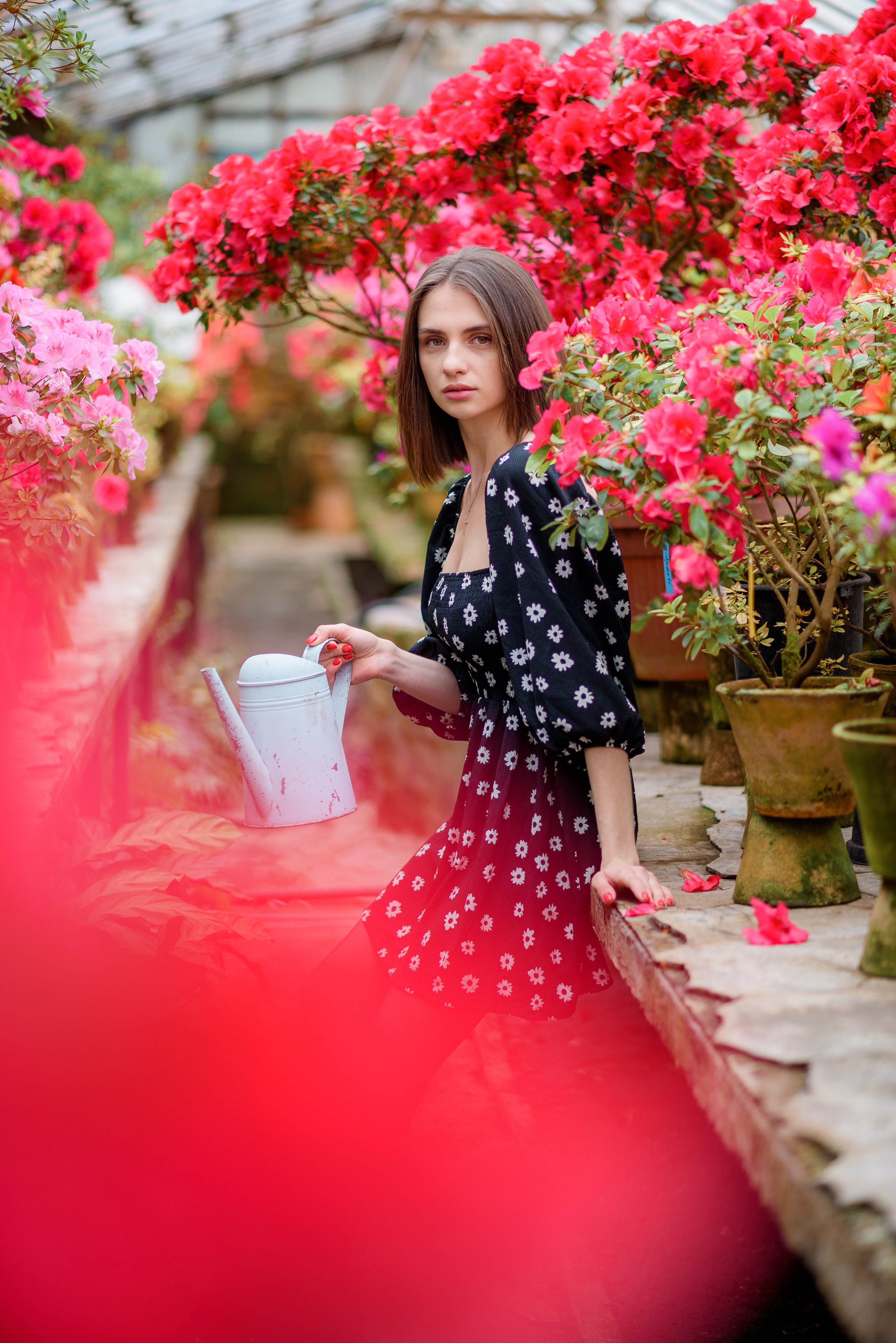 Богдана в азаліях. Сімейний та дитячий фотограф в Києві та Ірпені Тетяна Чайка