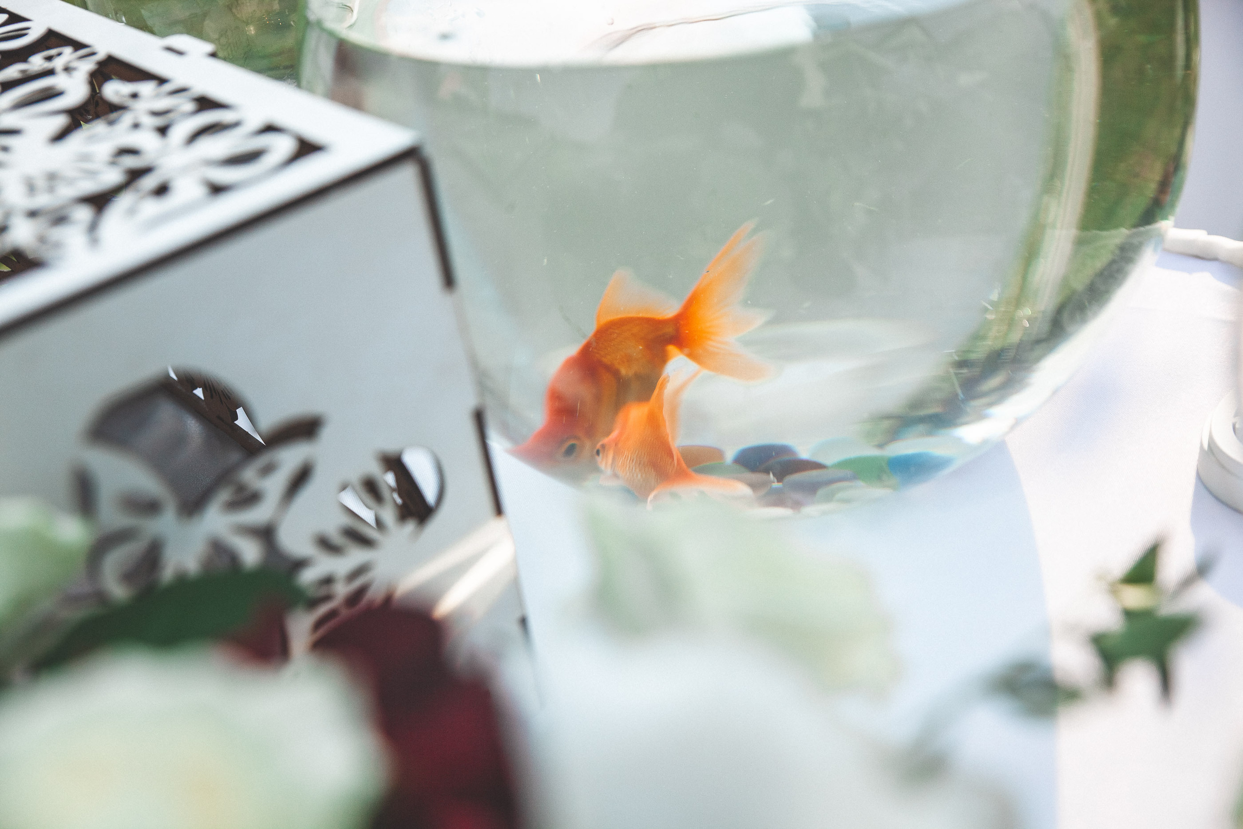 Евгения & Андрей. Весільний та сімейний фотограф Станіслав Сисоєв