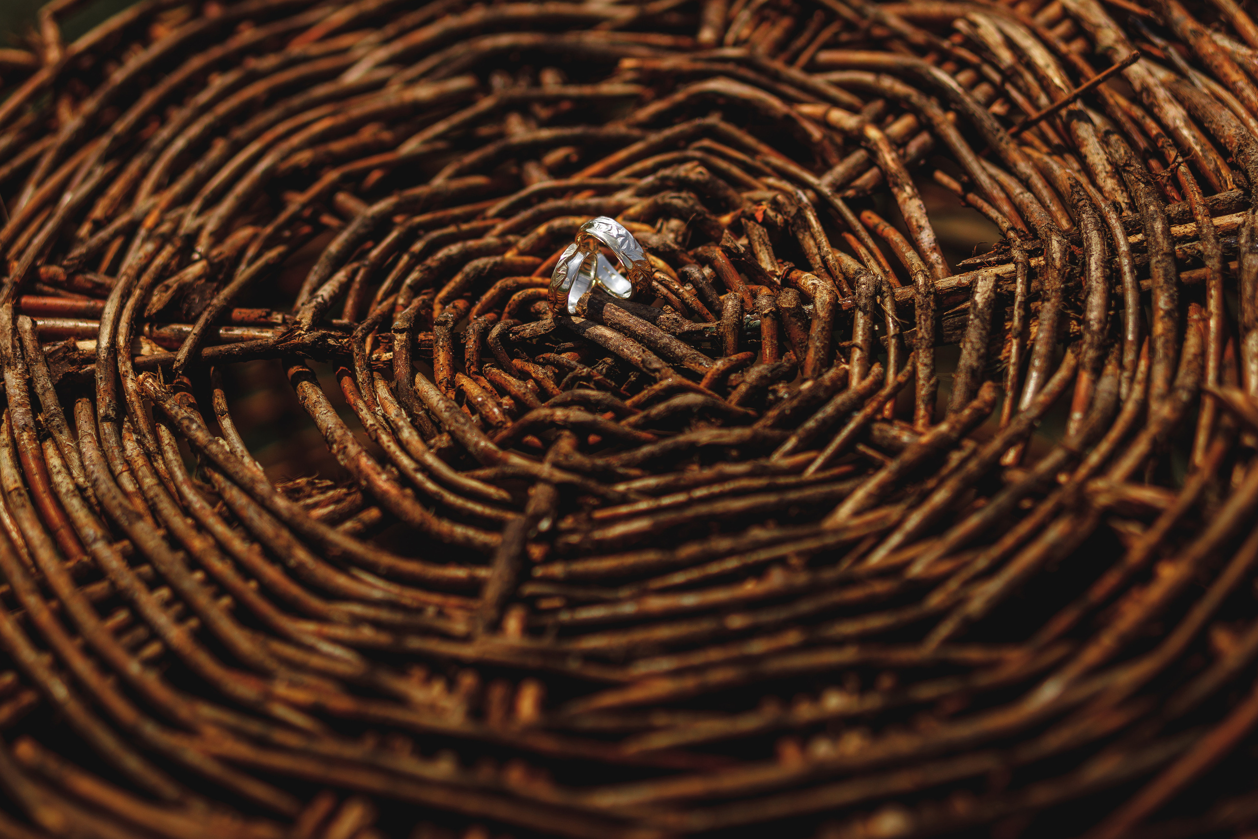 Олег и Евгения. Весільний та сімейний фотограф Станіслав Сисоєв