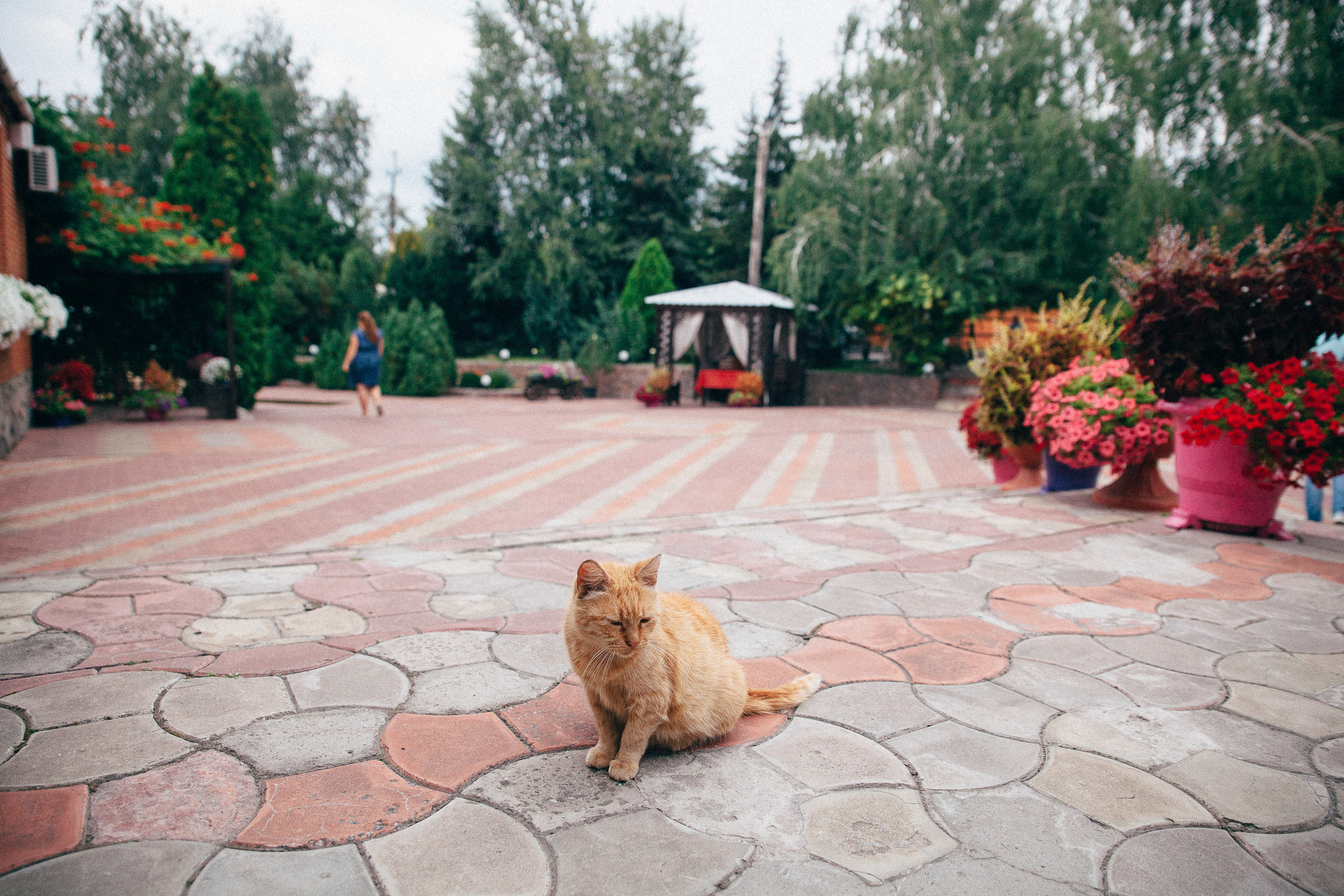 Александр & Кристина. Весільний та сімейний фотограф Станіслав Сисоєв