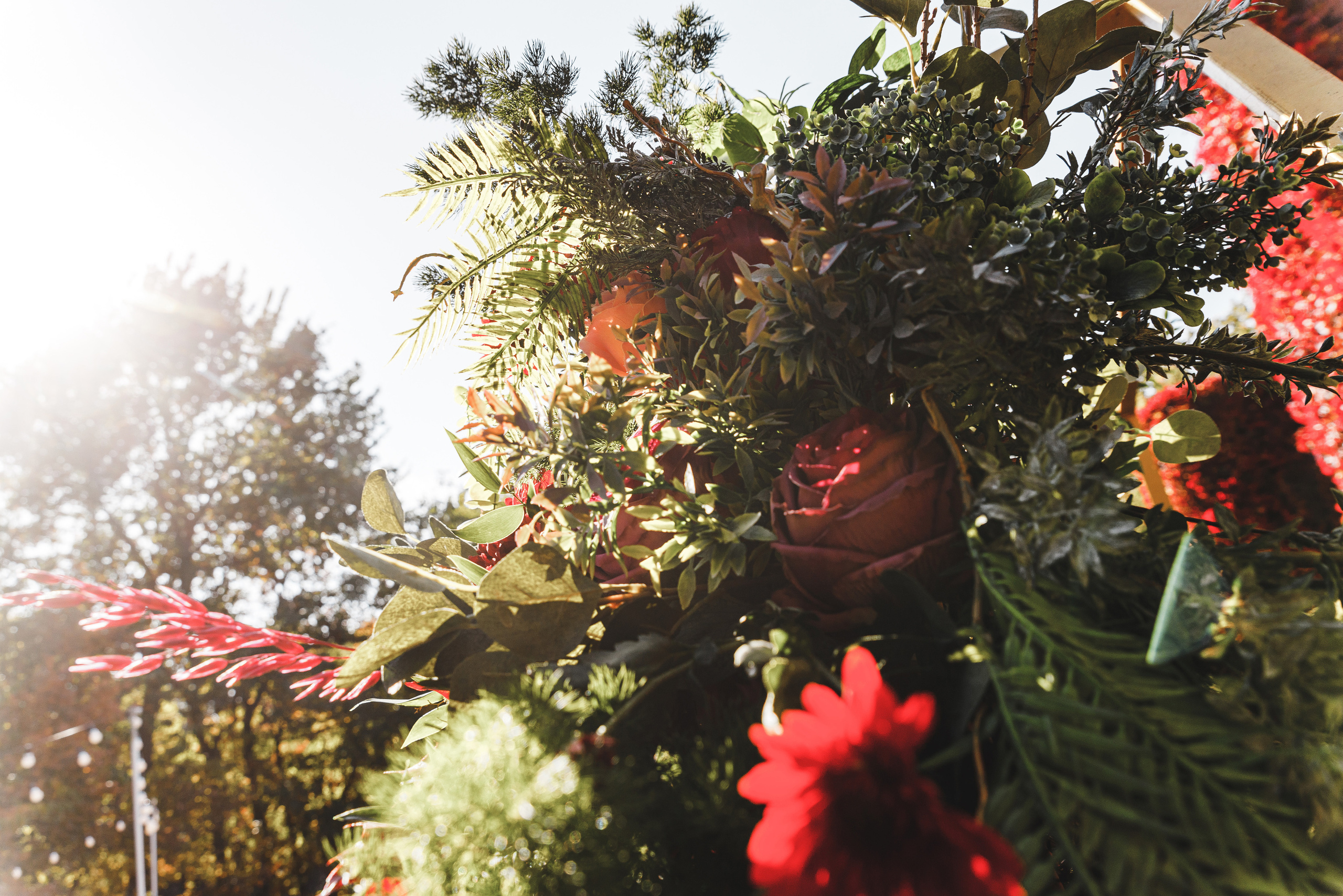 Женя и Марина. Весільний та сімейний фотограф Станіслав Сисоєв