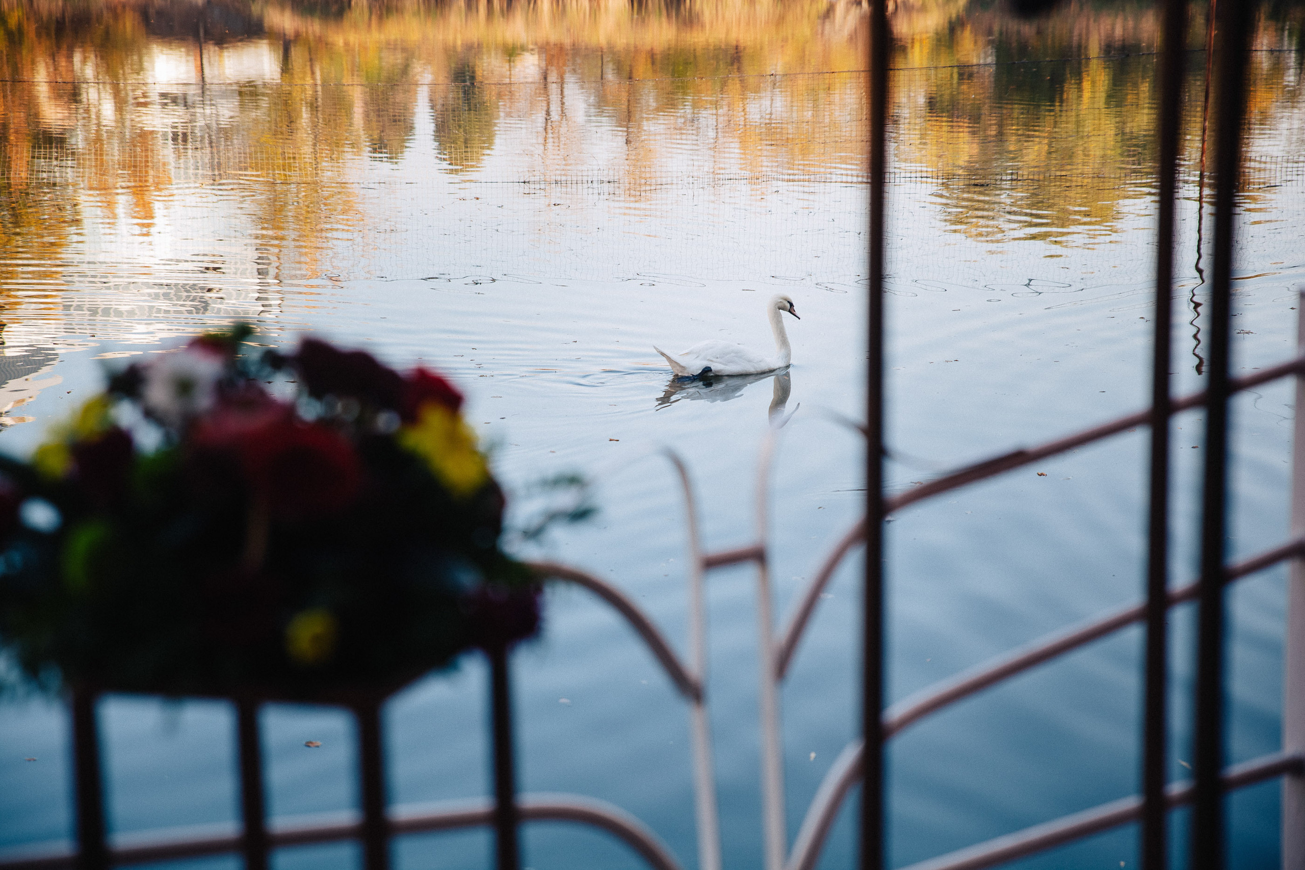 Евгений & Юлия. Весільний та сімейний фотограф Станіслав Сисоєв