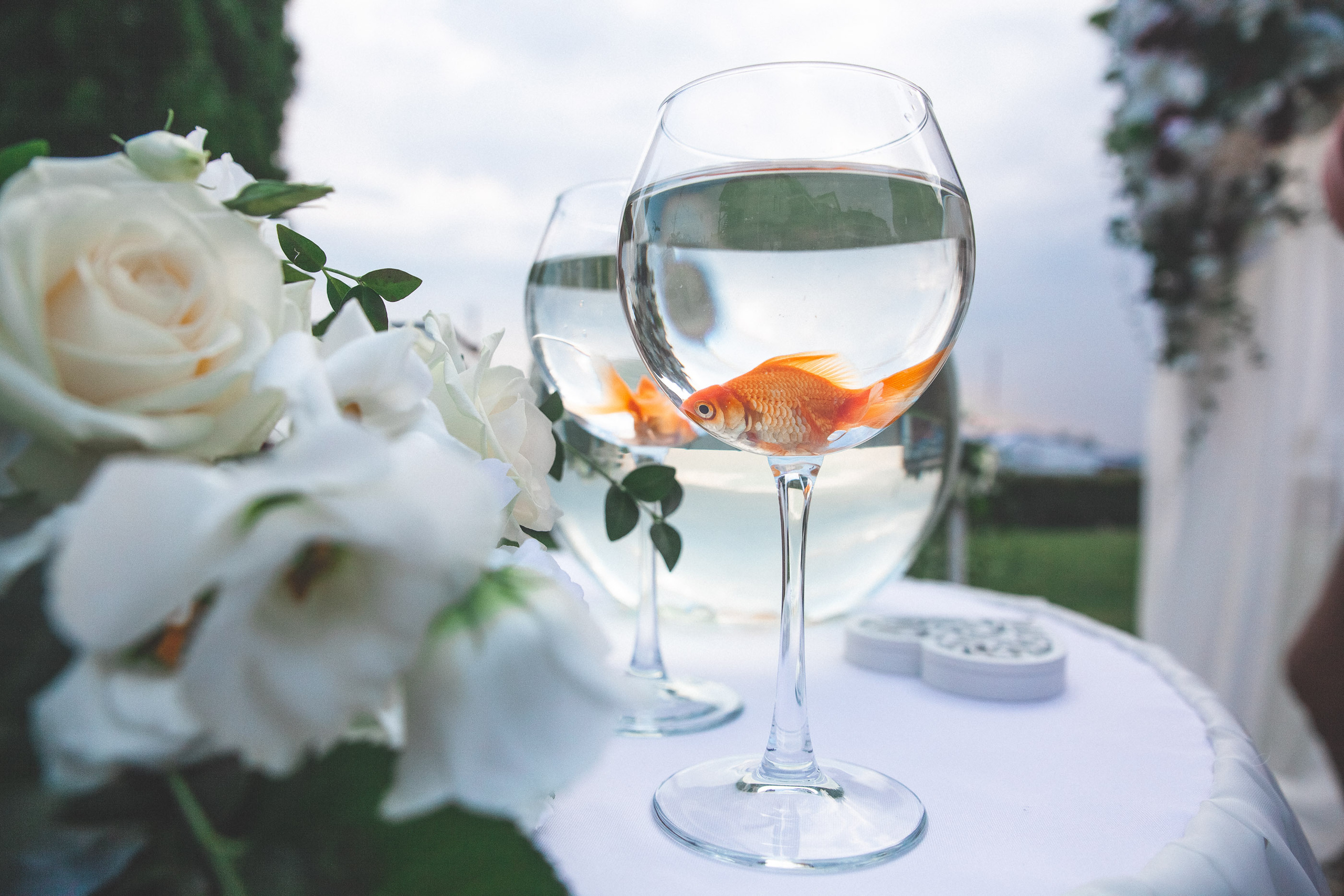 Евгения & Андрей. Весільний та сімейний фотограф Станіслав Сисоєв