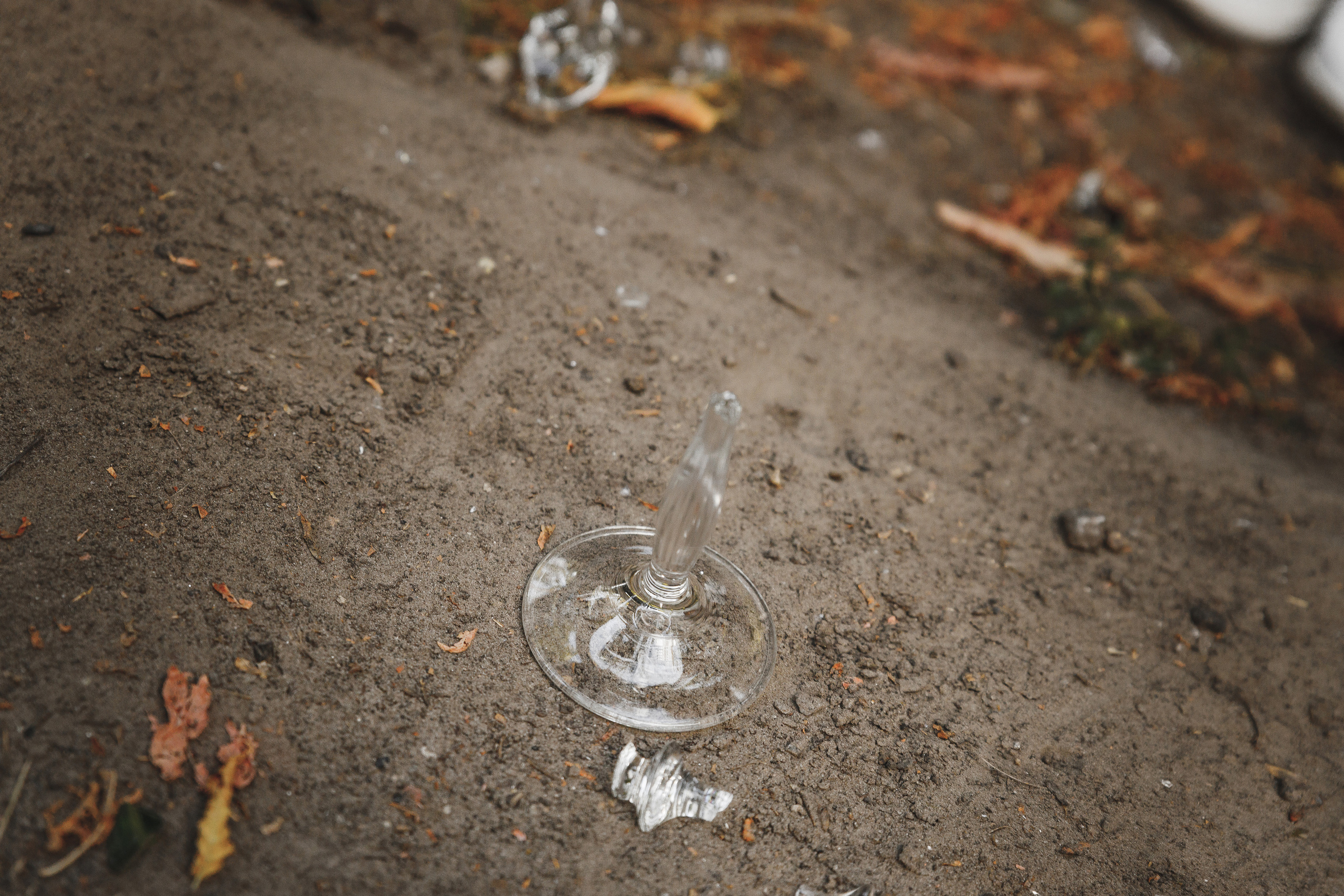 Сандра и Влад. Весільний та сімейний фотограф Станіслав Сисоєв