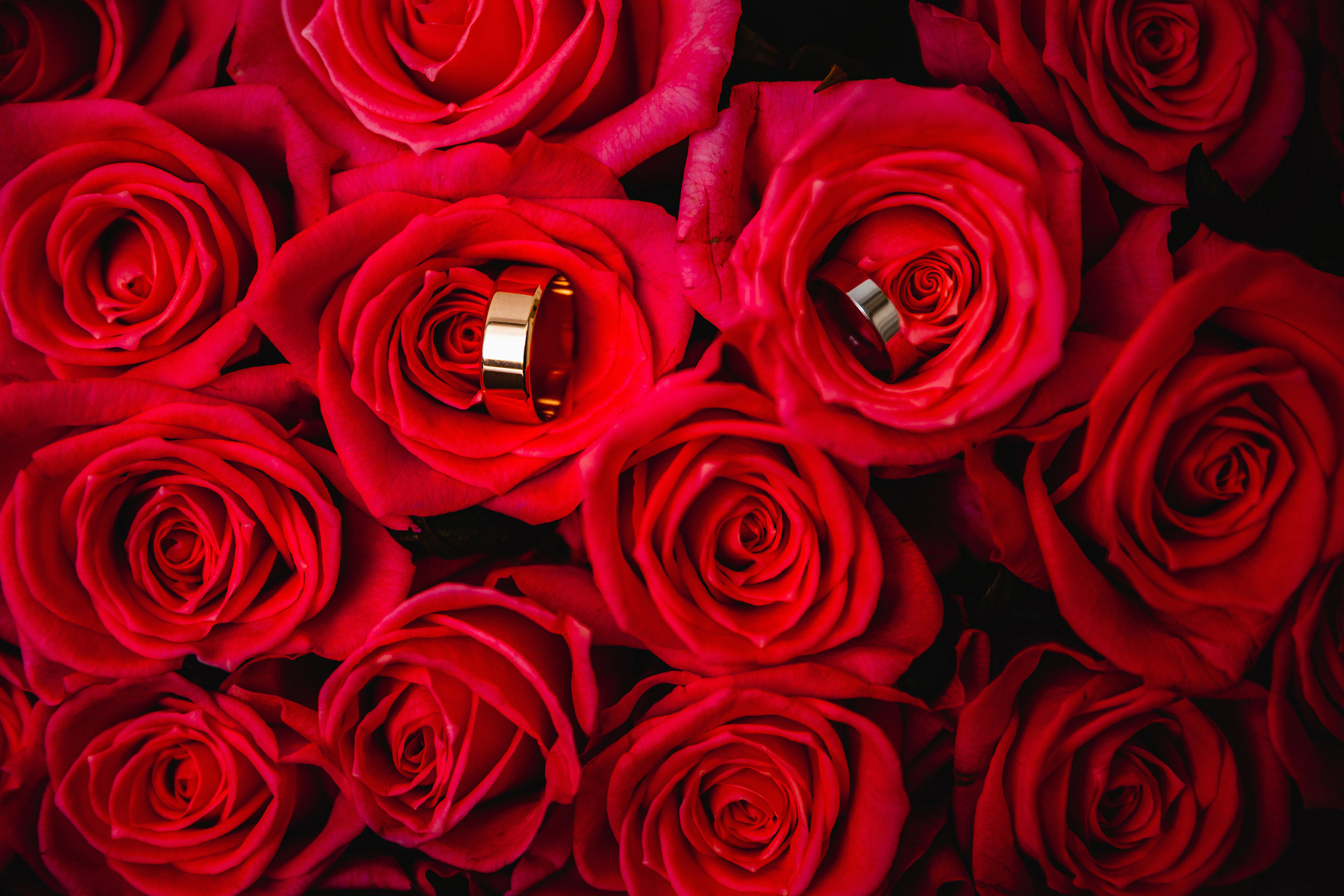 Ирина & Артем. Весільний та сімейний фотограф Станіслав Сисоєв