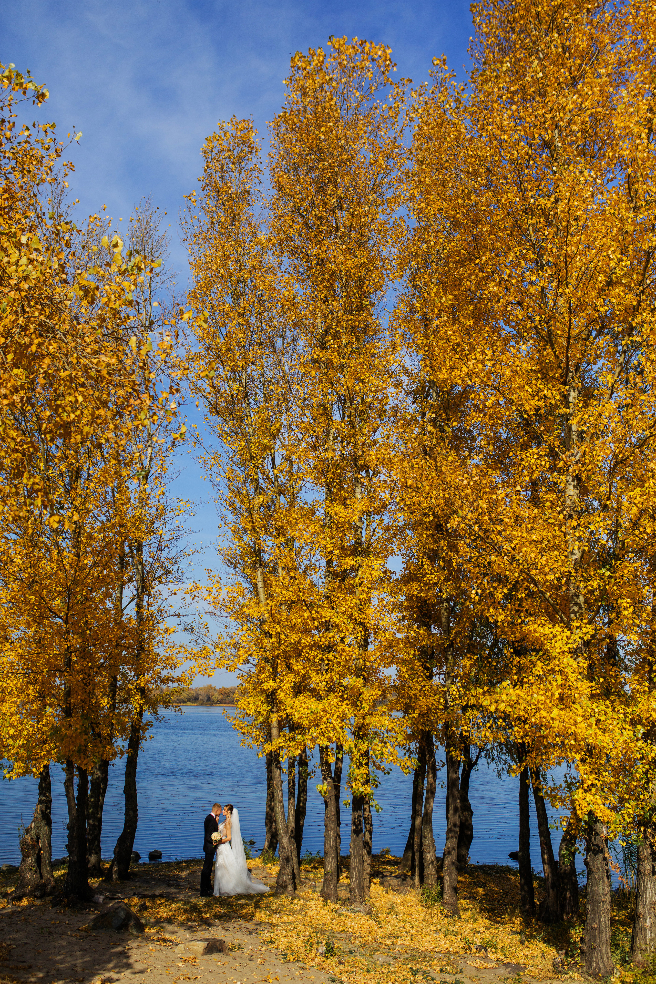 Wedding. Главная