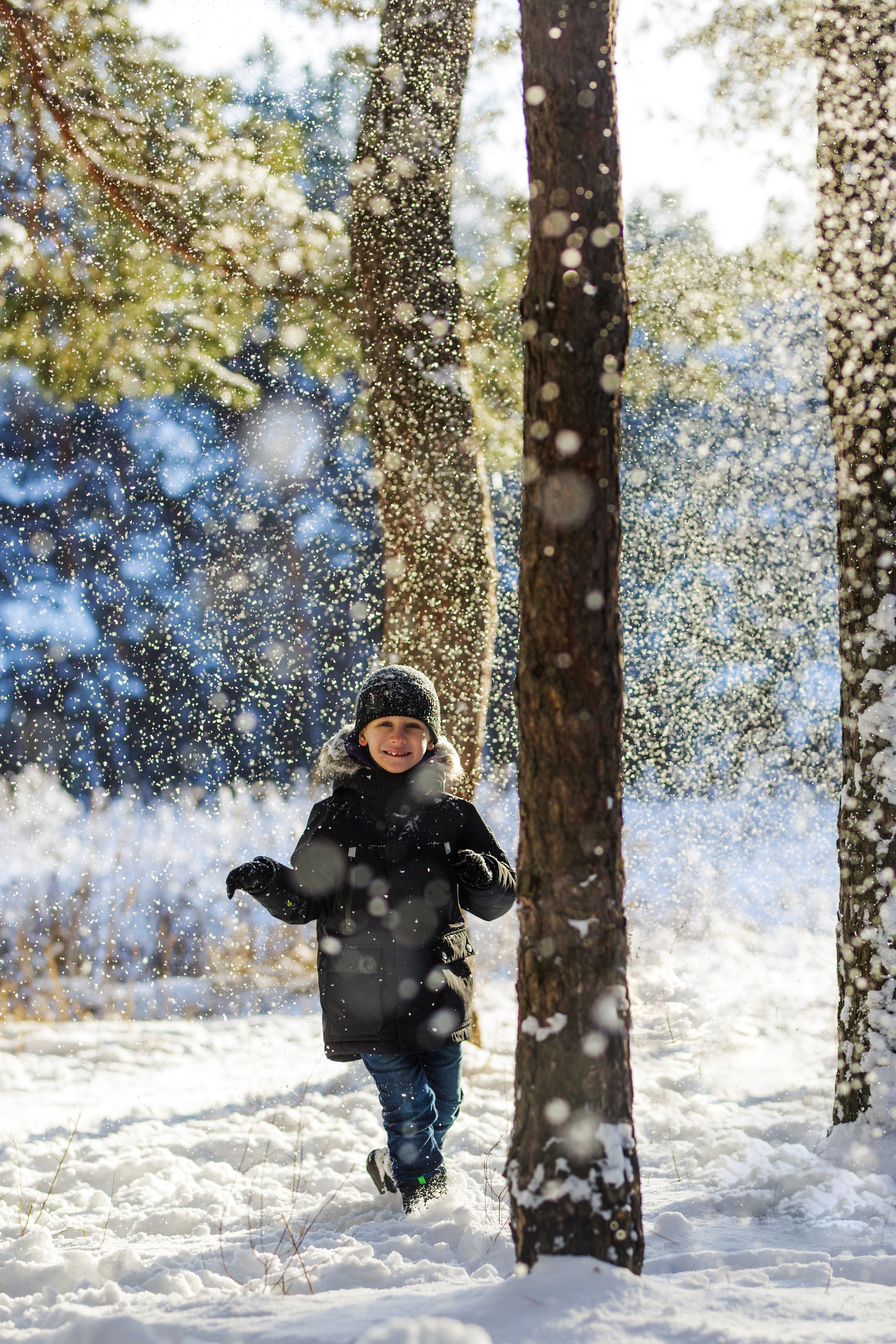 Family. Главная