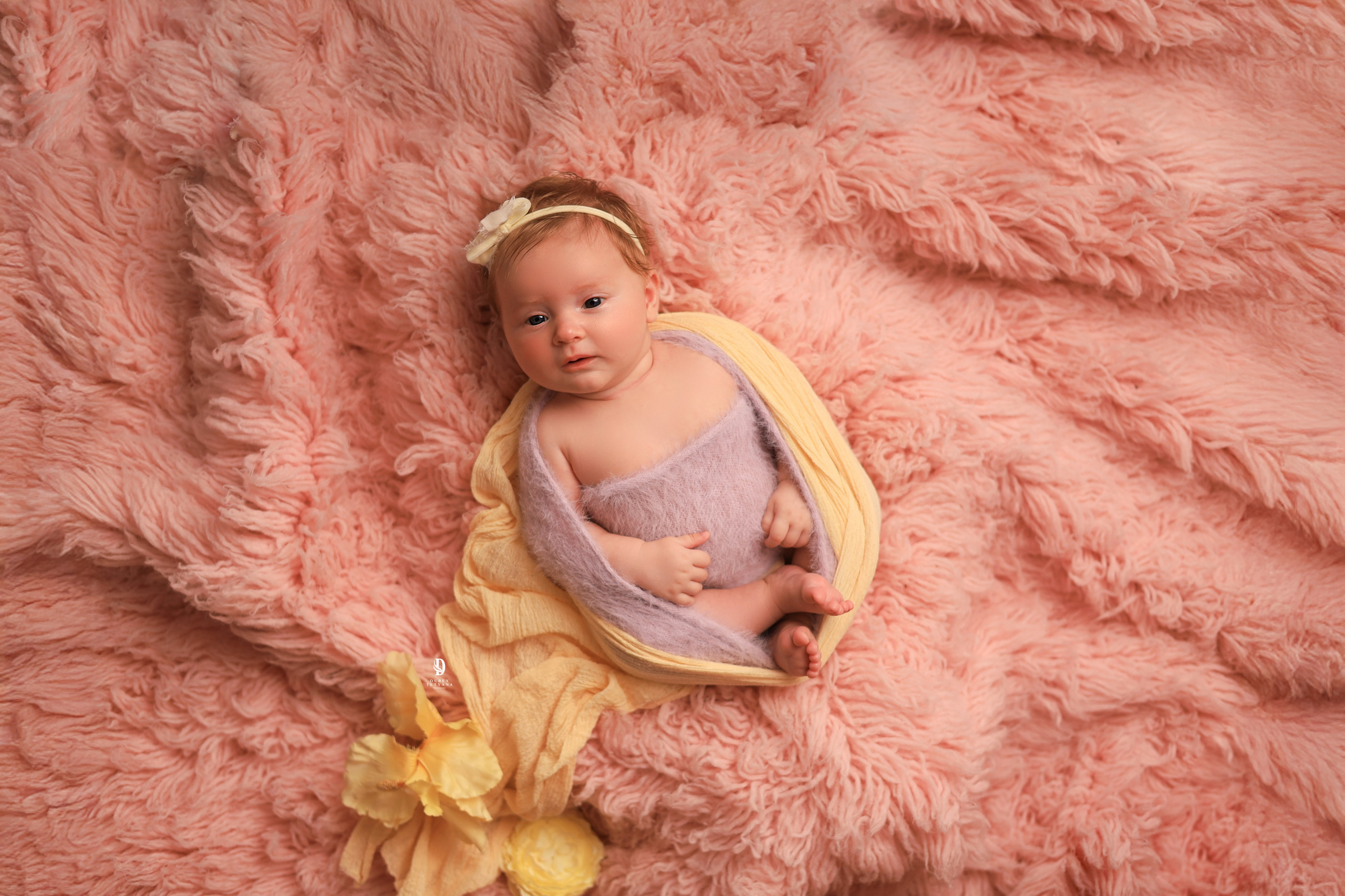 Focení novorozence miminek Praha a celé ČR Focení novorozence miminek Praha a celé ČR, newborn photography Prague
