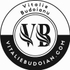 vitaliebudoian.com