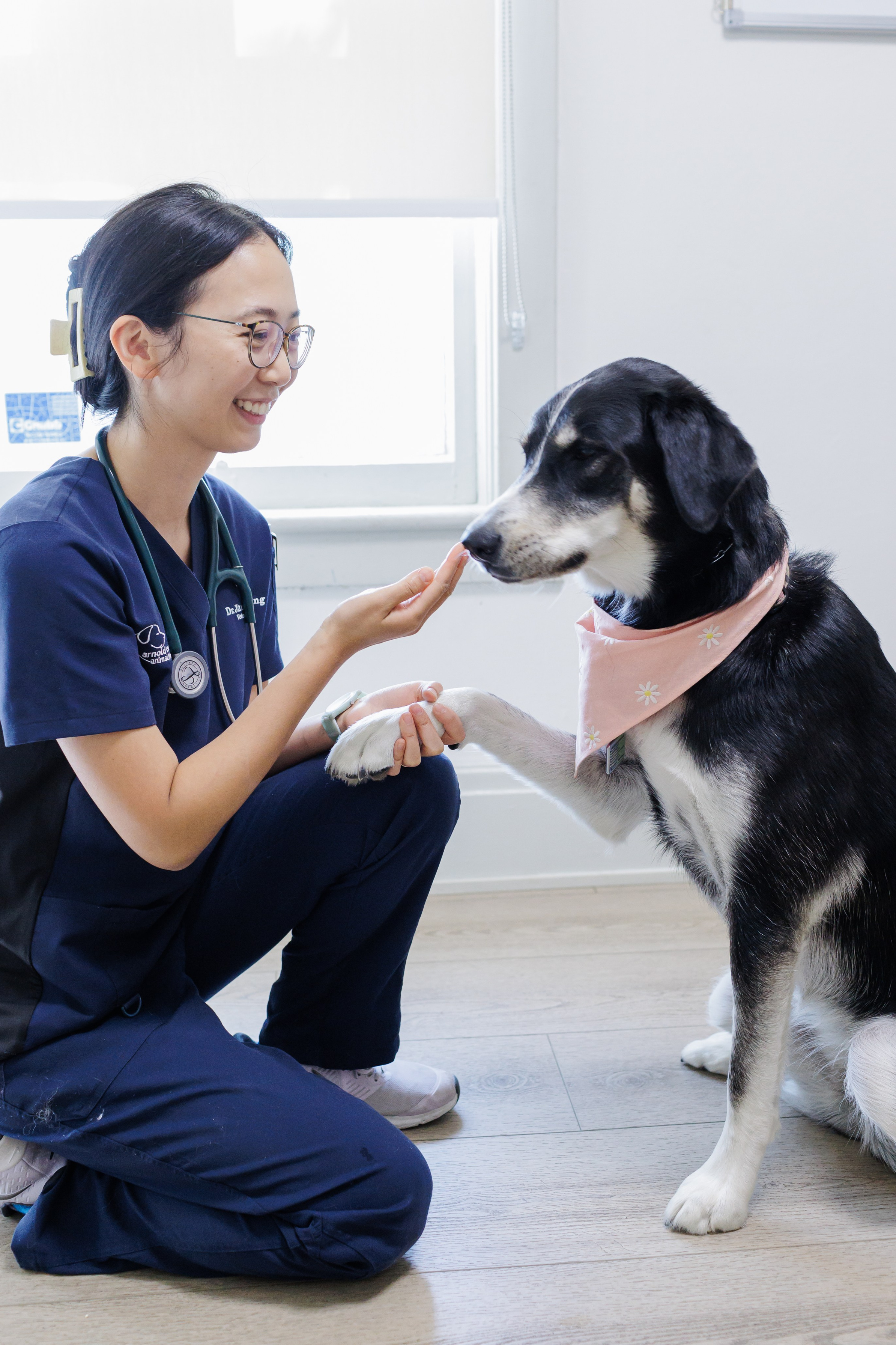 Professional brand photo of a friendly female veterinary clinic owner smiling warmly in her modern clinic environment.
