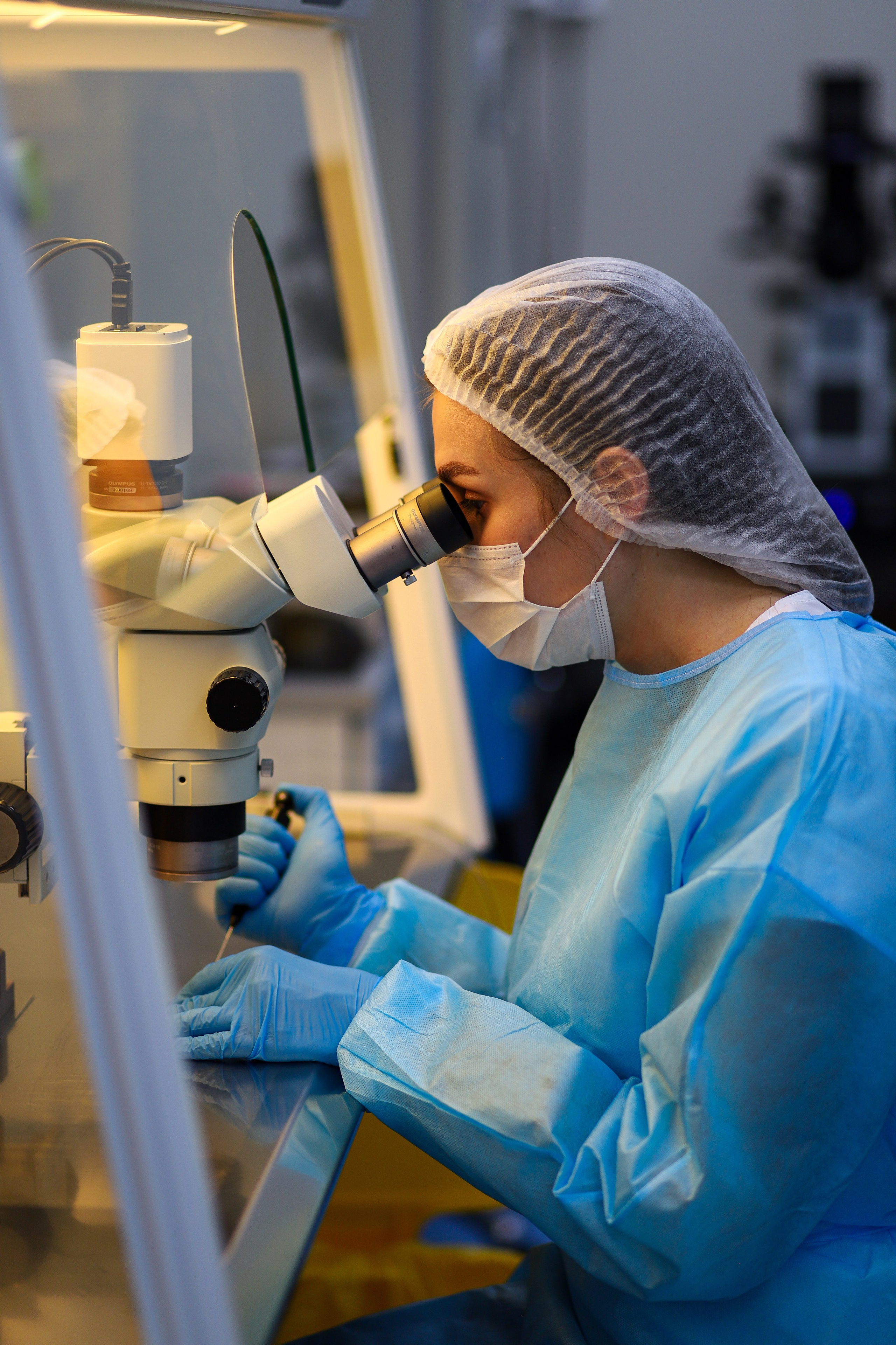 Services and Investment. Portrait and family photographer in Fort Collins Dania Gaisina