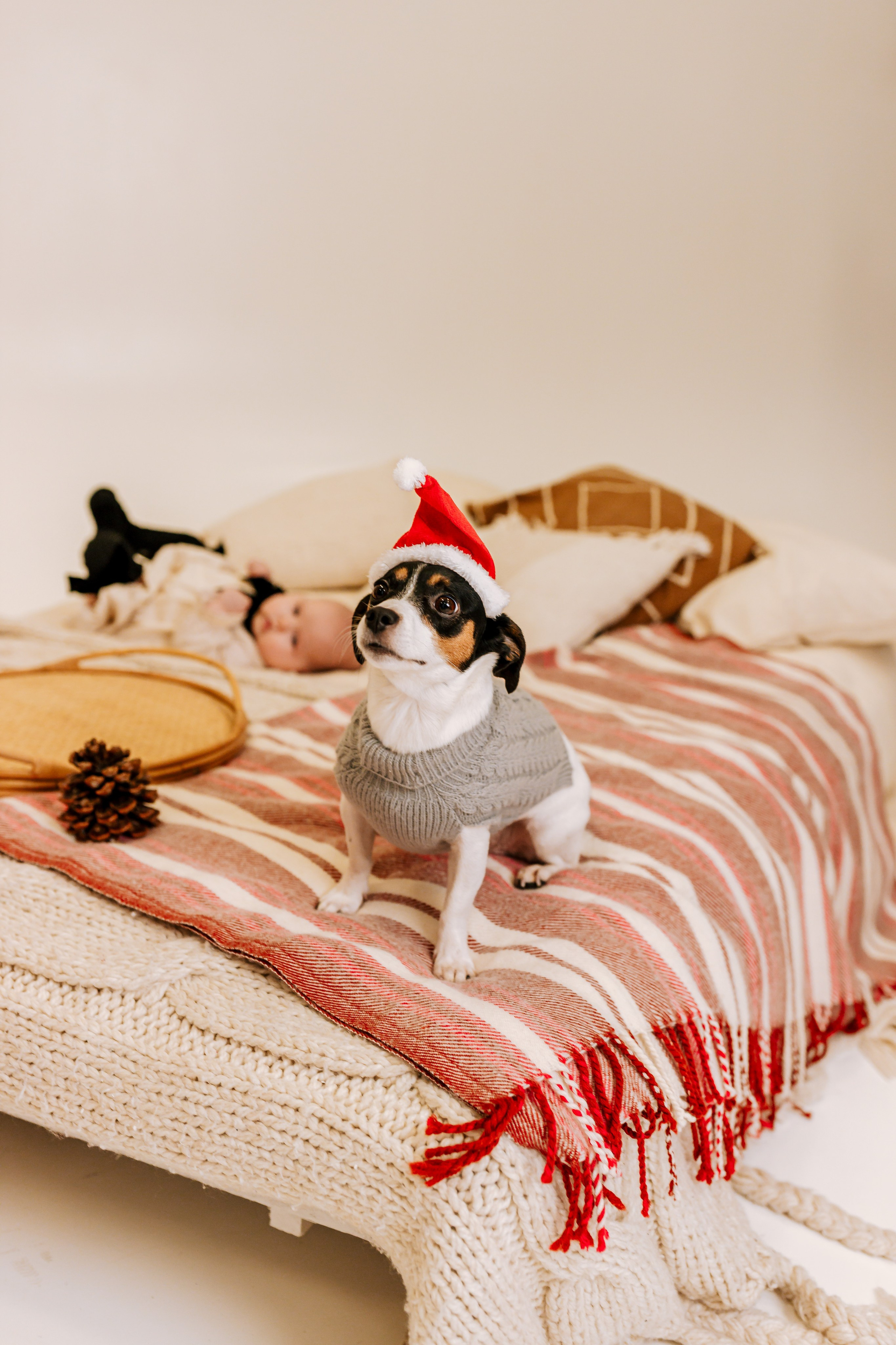 Ziemassvētku fotogrāfija. Home