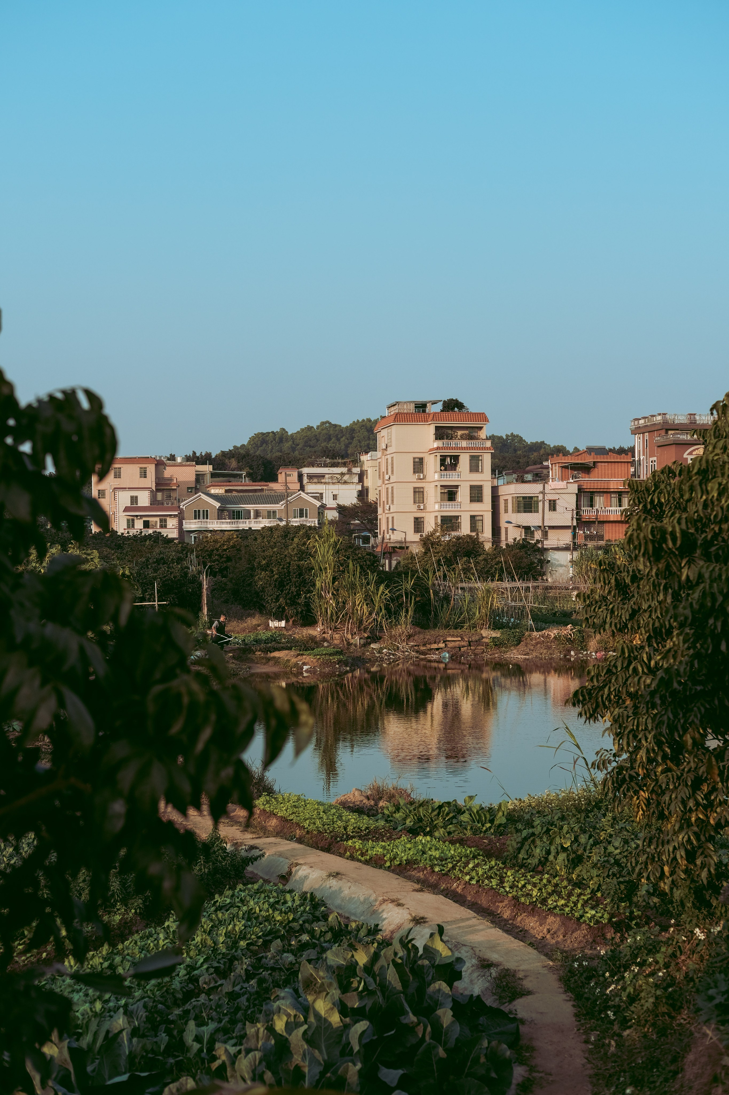 广州深井古村 | Shenjing Ancient Village