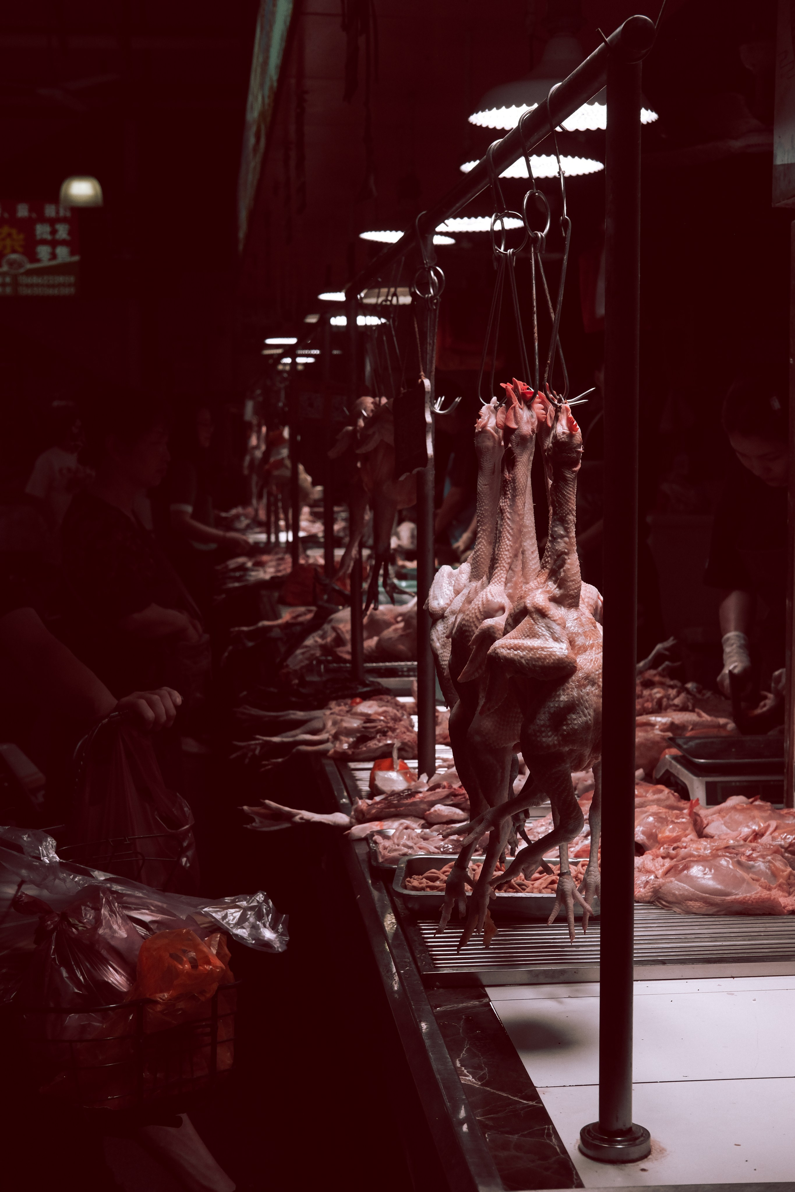 Meat Market in Humen town | Dongguan City | Guangdong 