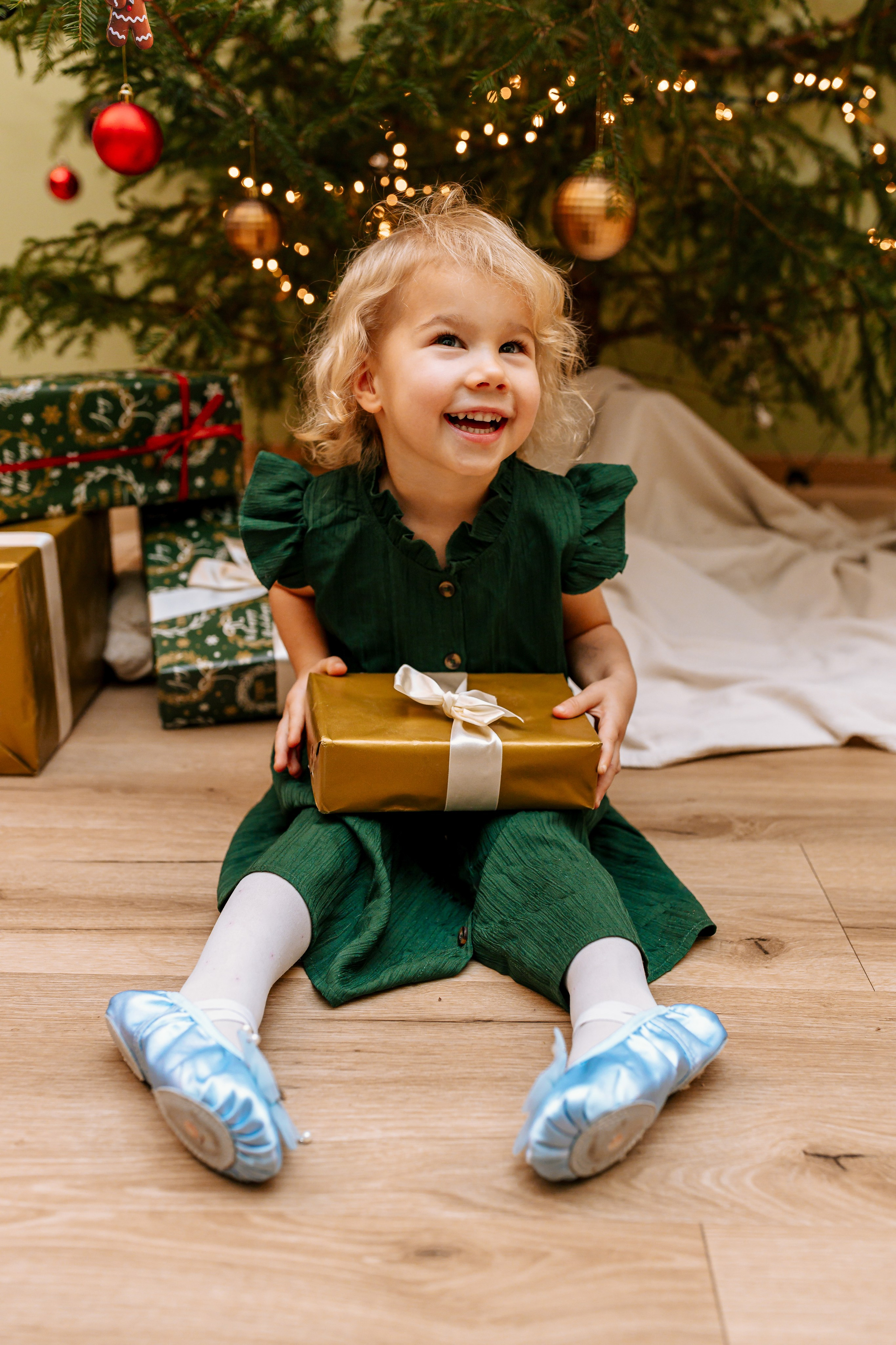 Ziemassvētku fotogrāfija. Home