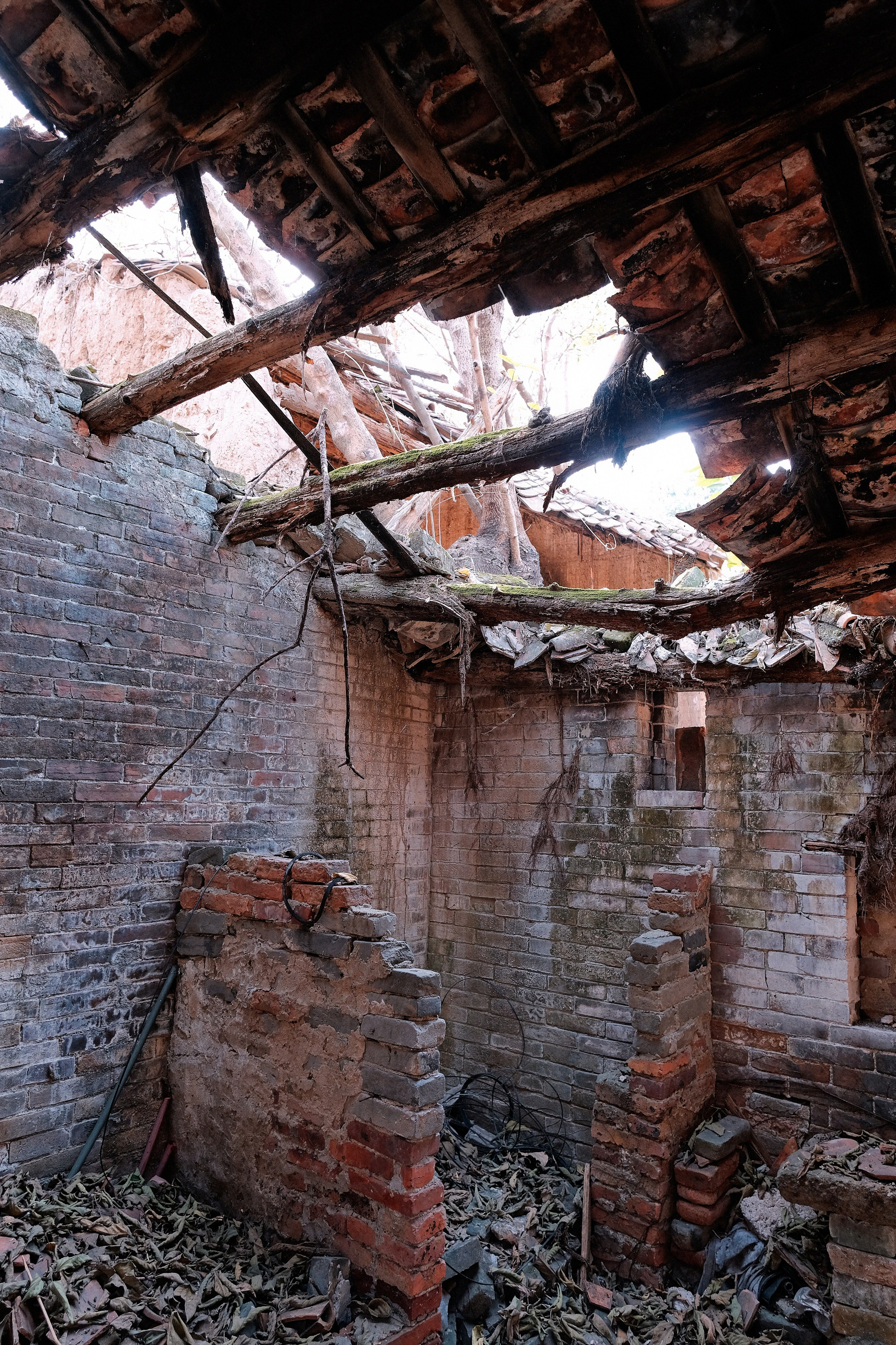 Old houses Guangzhou LangTou Village China 🇨🇳 Street Photography