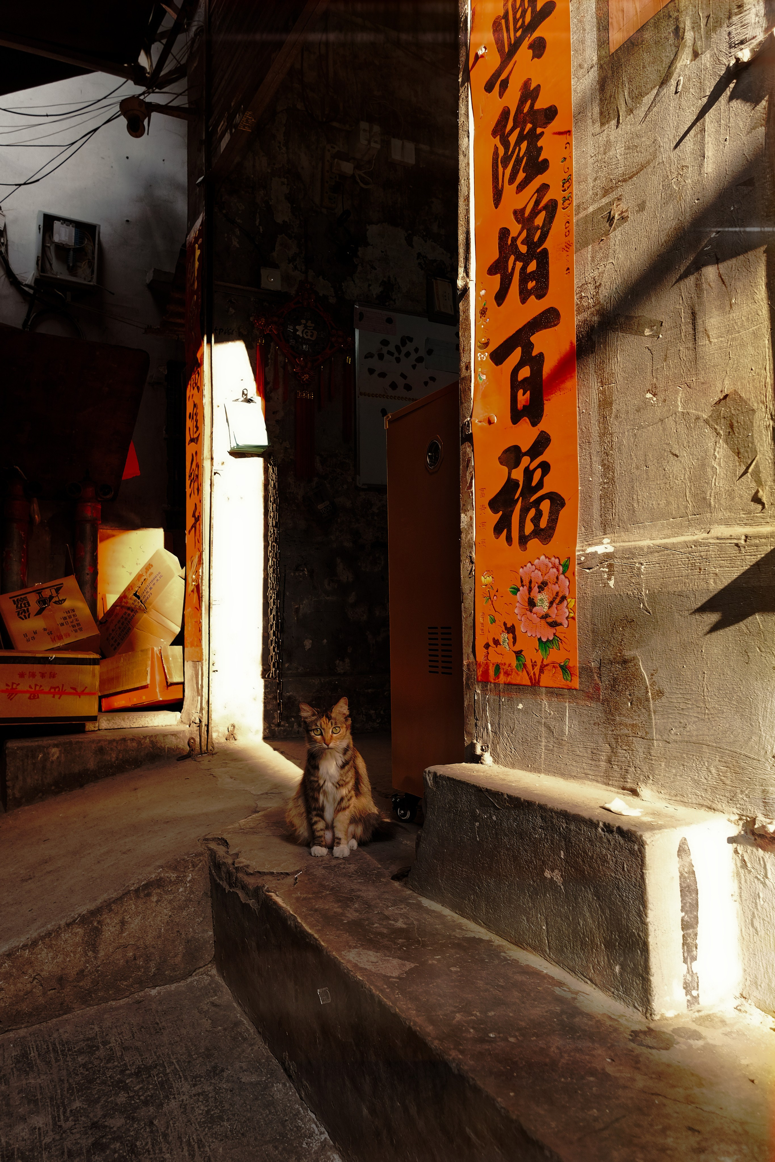 Candid Street Photography in Guangzhou | China 🇨🇳. 中国街头摄影 | The Streets of China Through My Eyes | 深圳