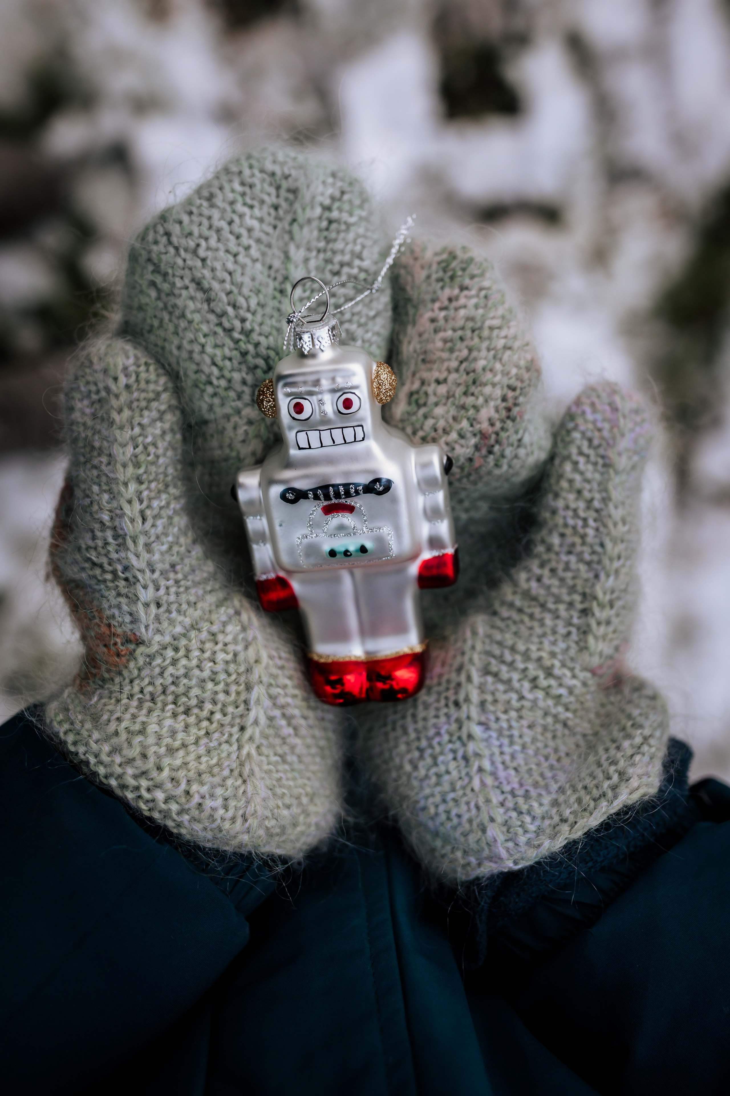 Ziemassvētku fotogrāfija. Home