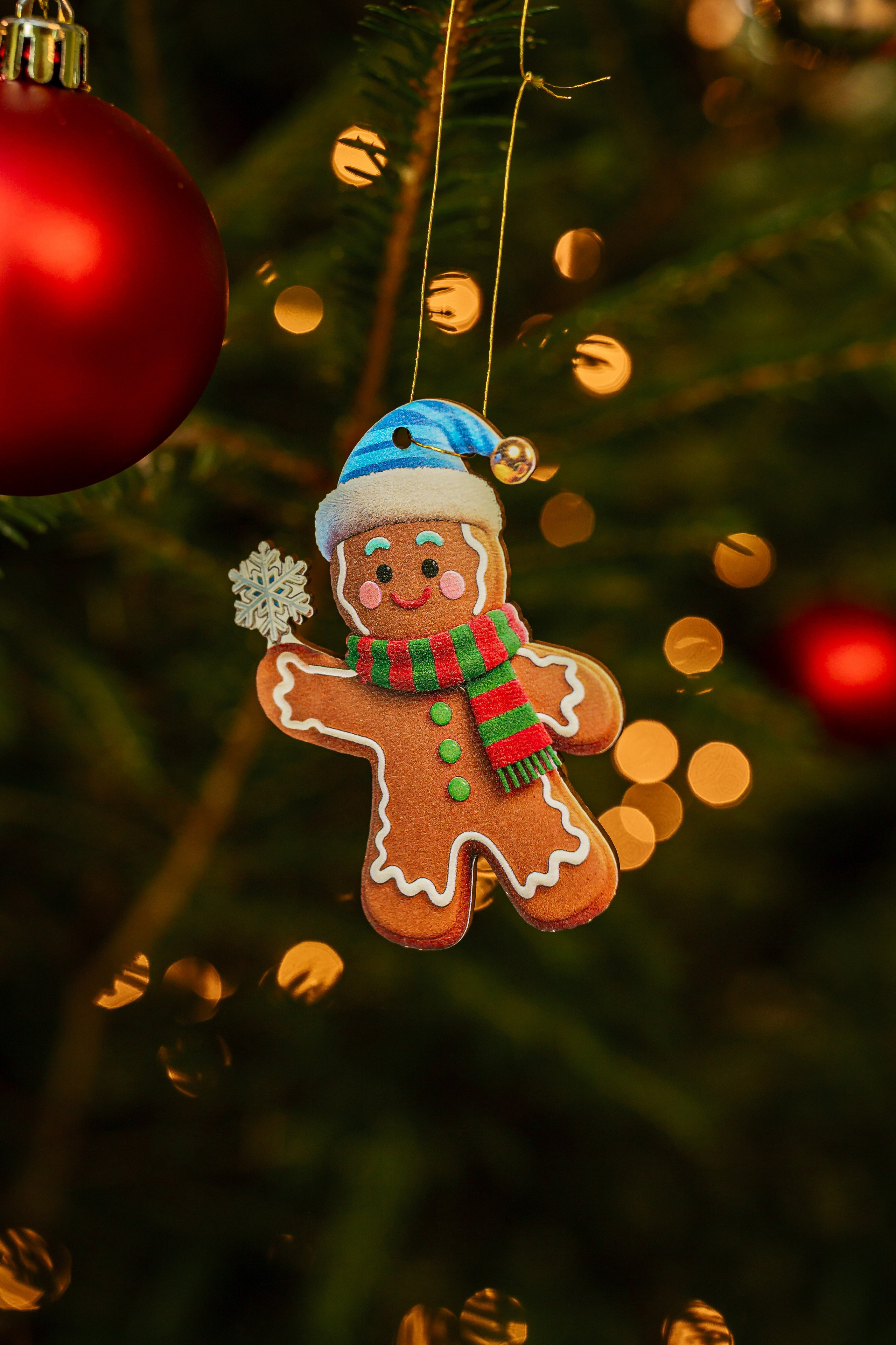 Ziemassvētku fotogrāfija. Home