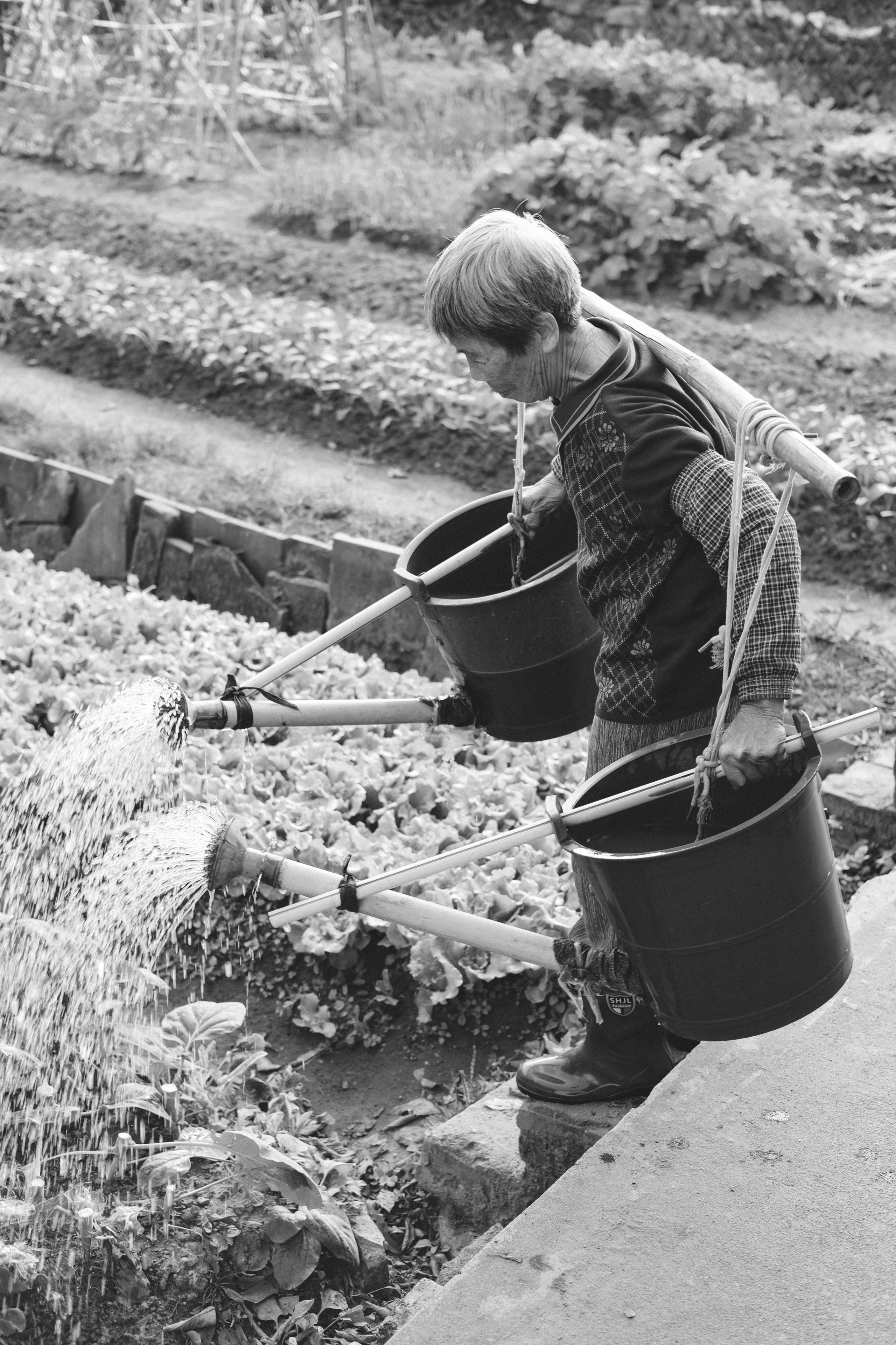 广州深井古村 | Shenjing Ancient Village