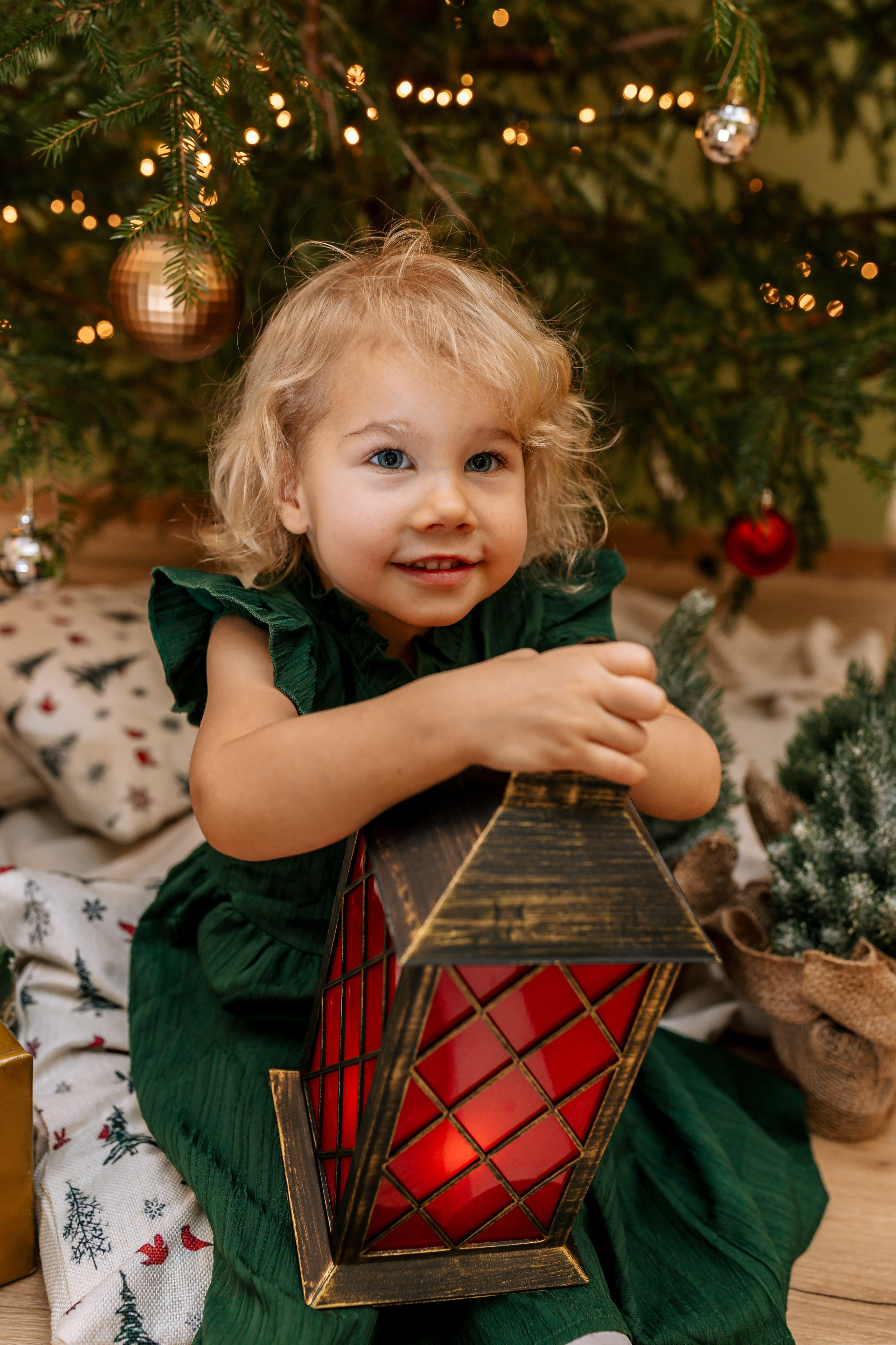 Ziemassvētku fotogrāfija. Home