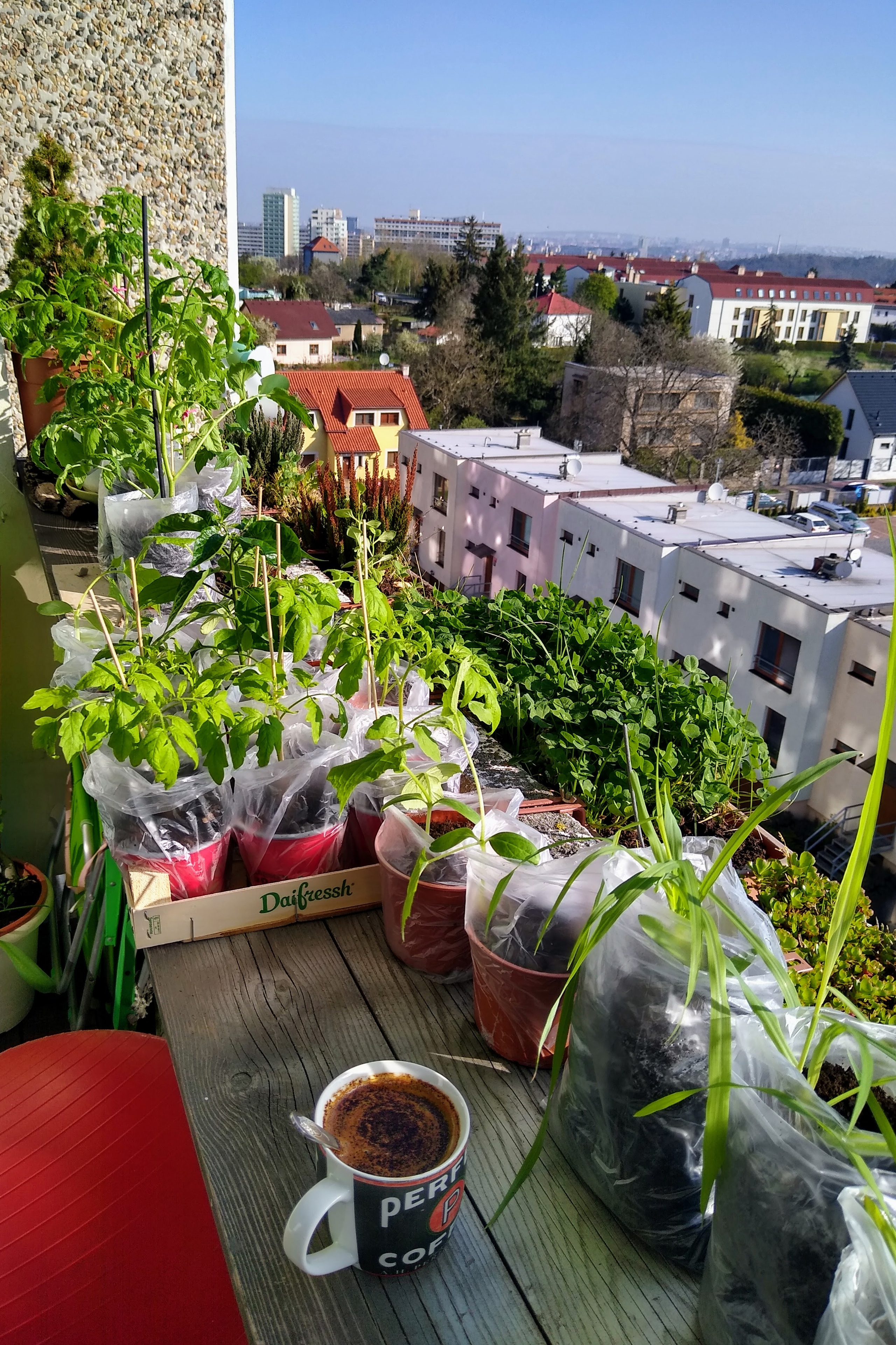 April. Kiki-Niki-Cha! Learn, play, and discover with us!