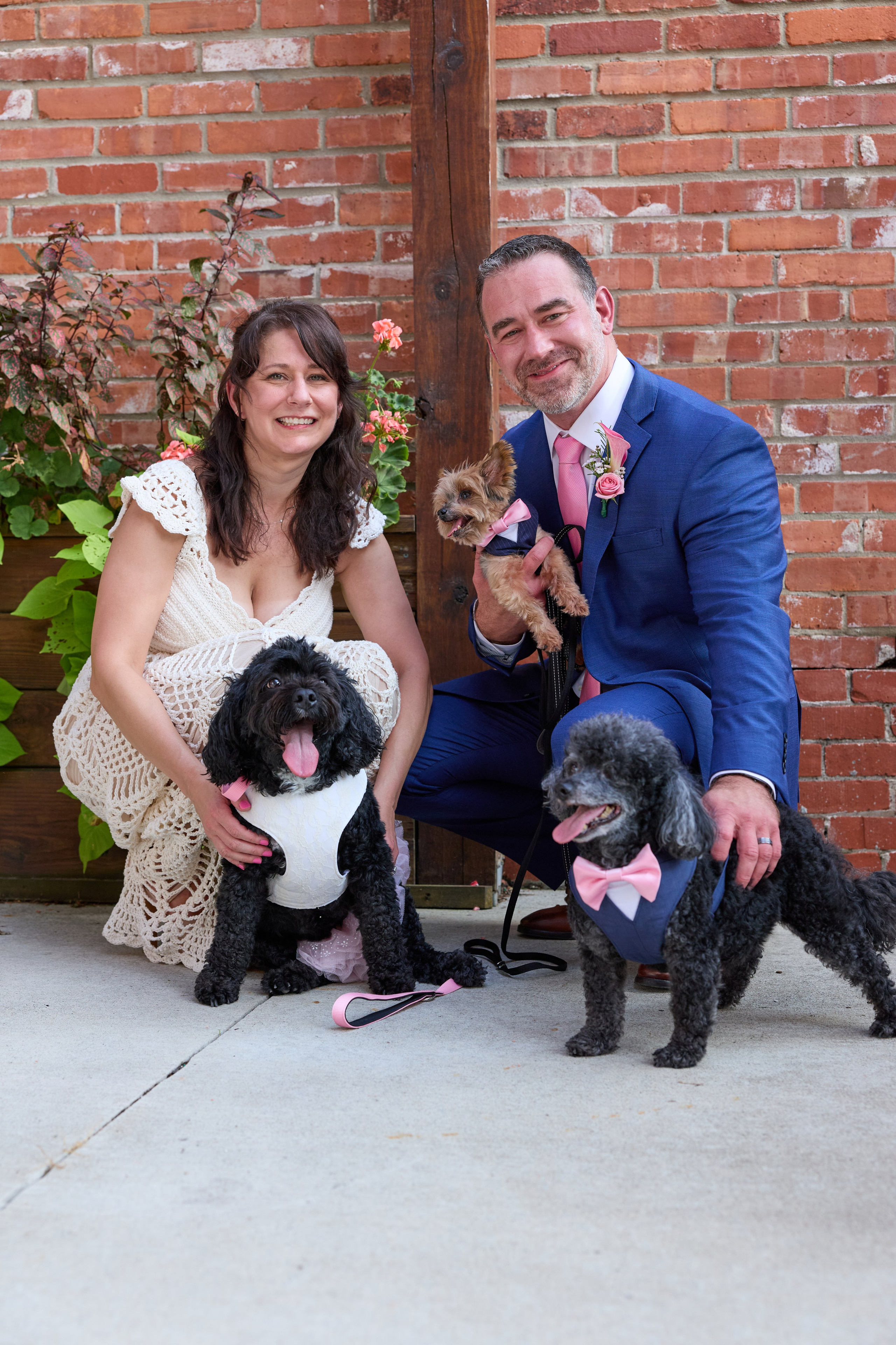 A Cozy Mini Wedding with Three Rescue Dogs. Kovyphoto