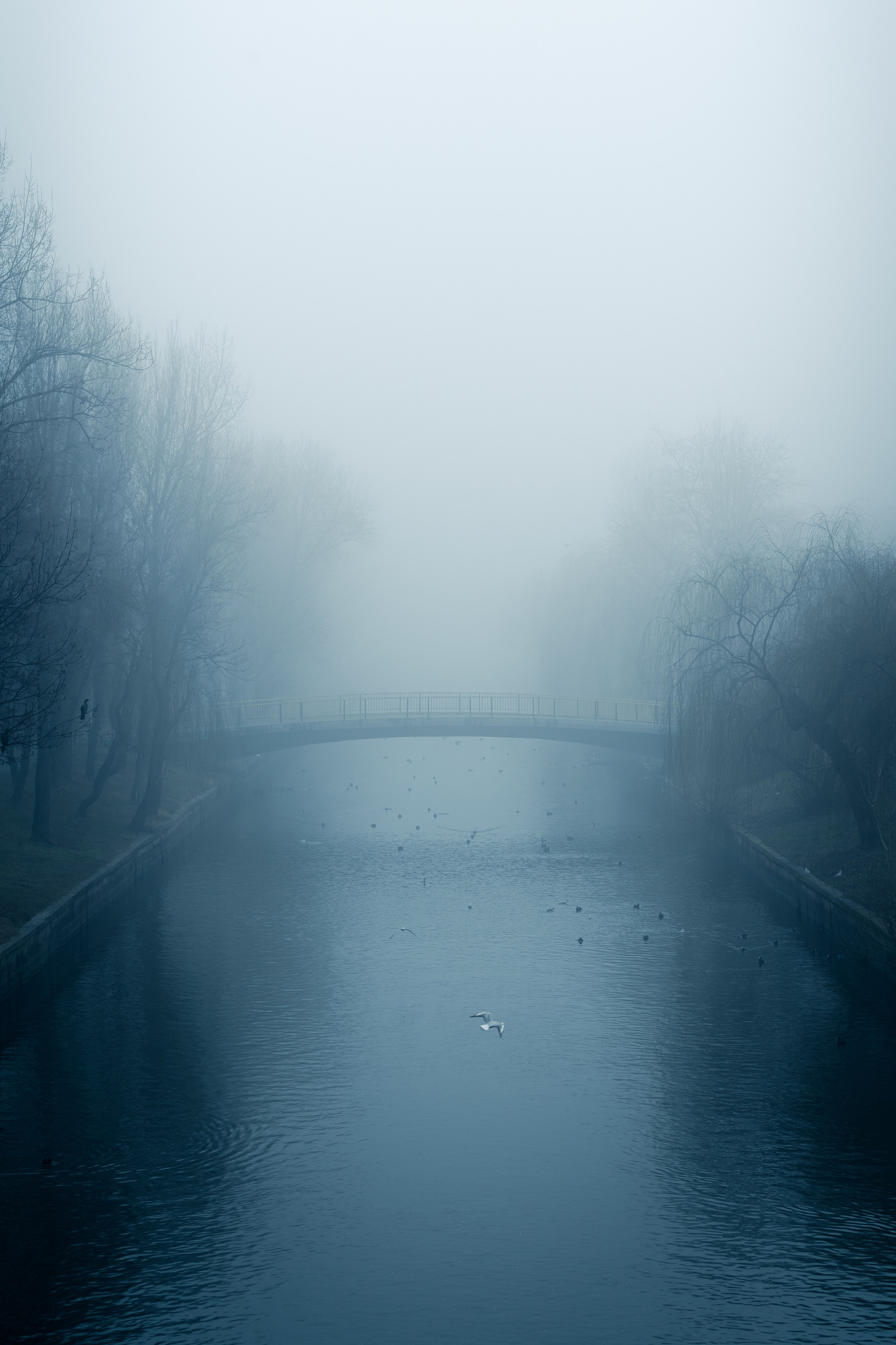 Blog despre fotografie - O dimineata cetoasa