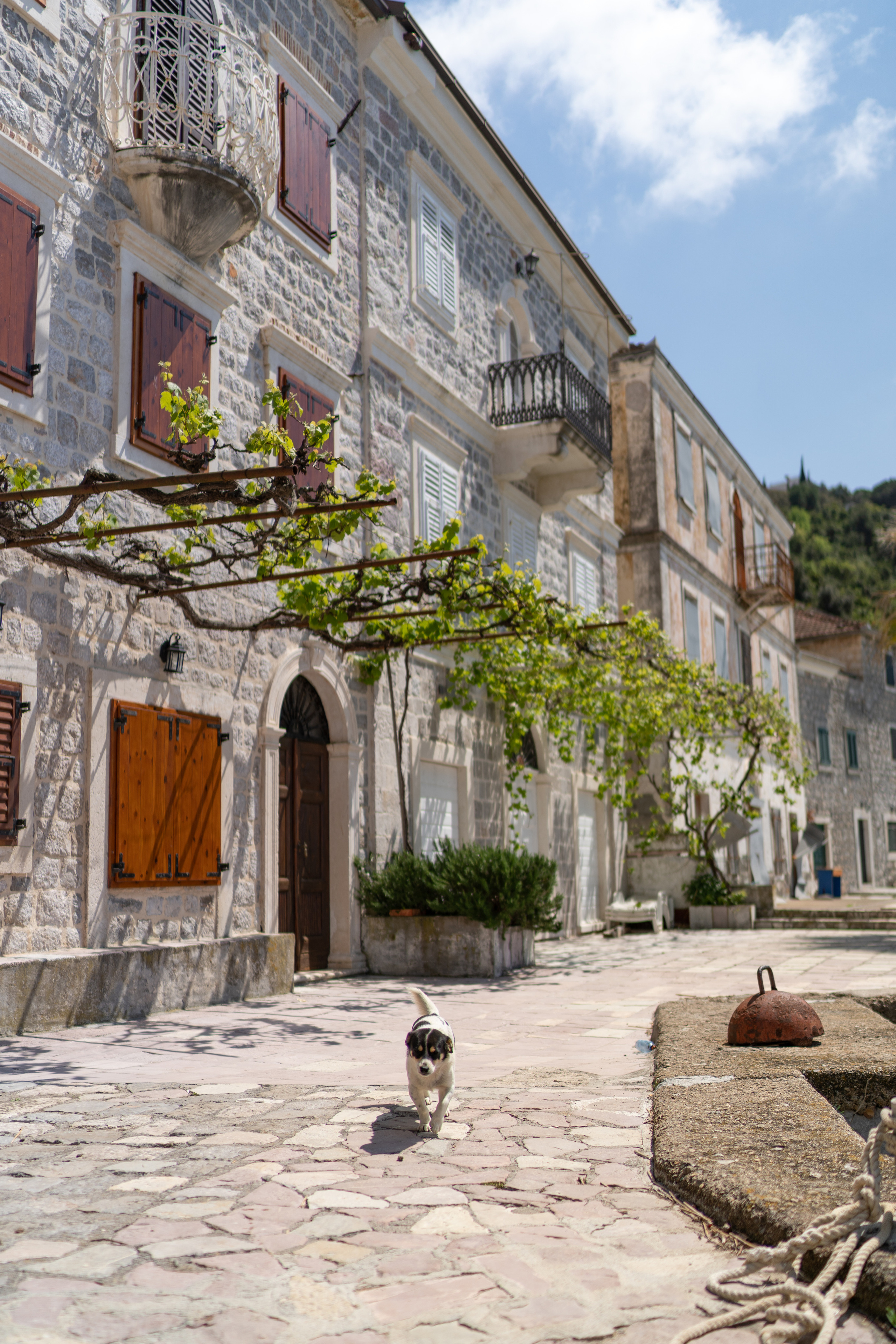 Beste ting å gjøre på Luštica-halvøya, Montenegro