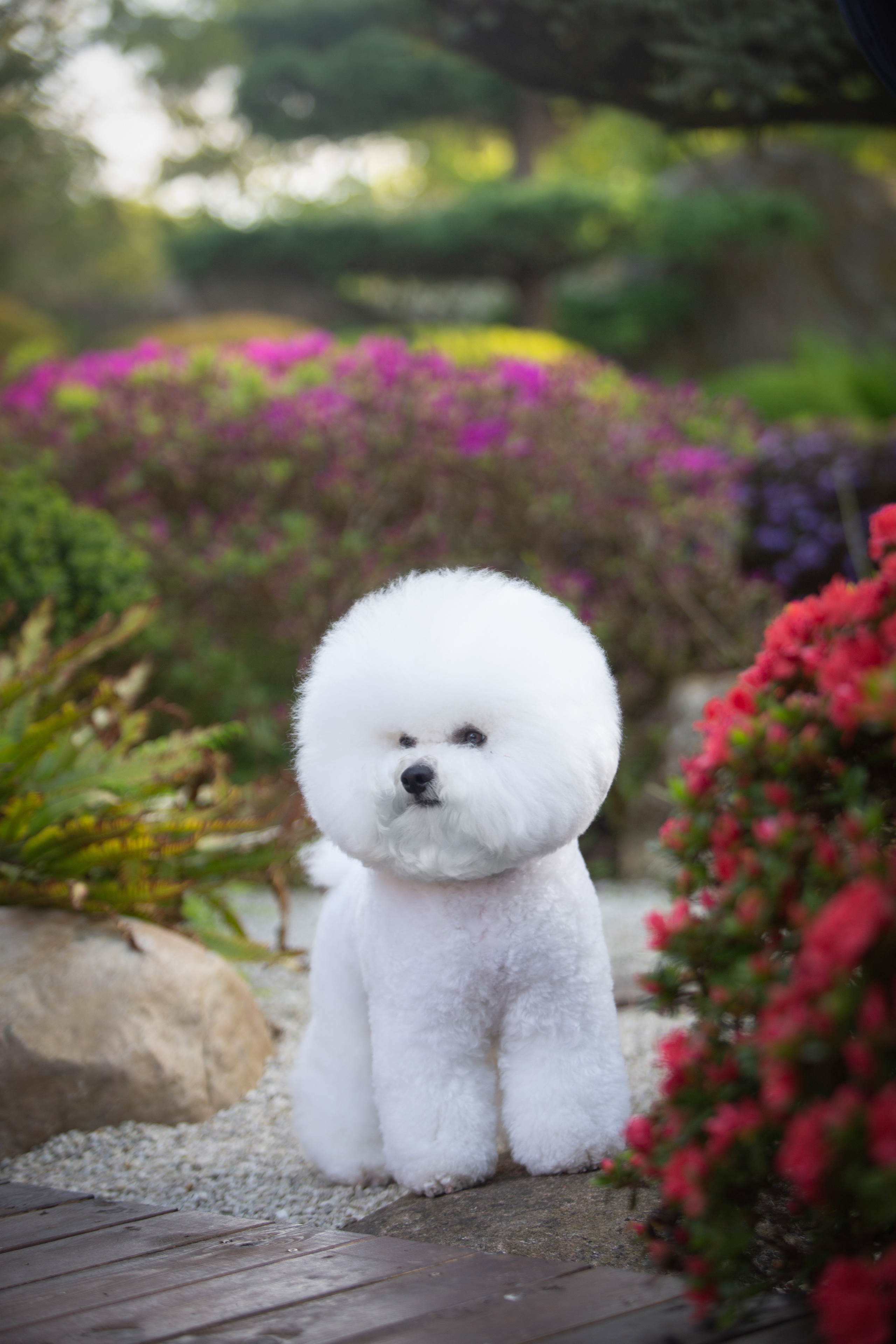 Фотошкола. Фотограф Катерина Мумжинська