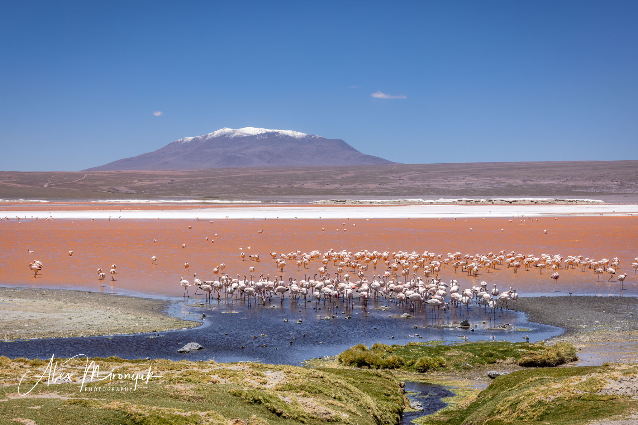 Bolivia Adventure. Pet, Senior, Landscape, portrait studio, photographer in Miami and Sou