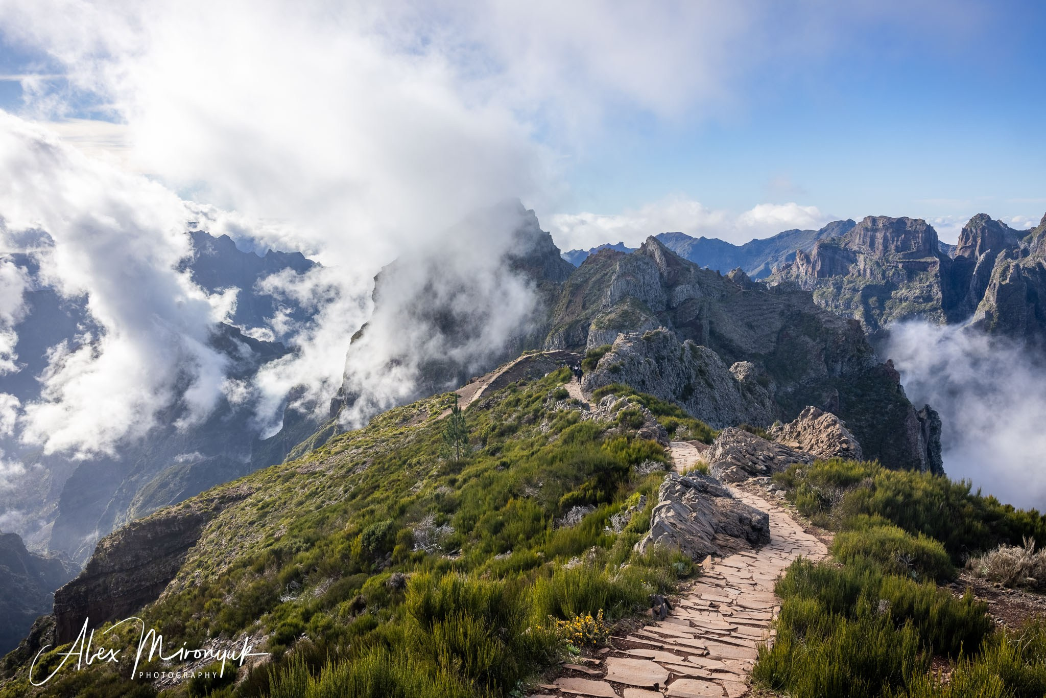 Azores And Madeira. Pet, Senior, Landscape, portrait studio, photographer in Miami and Sou