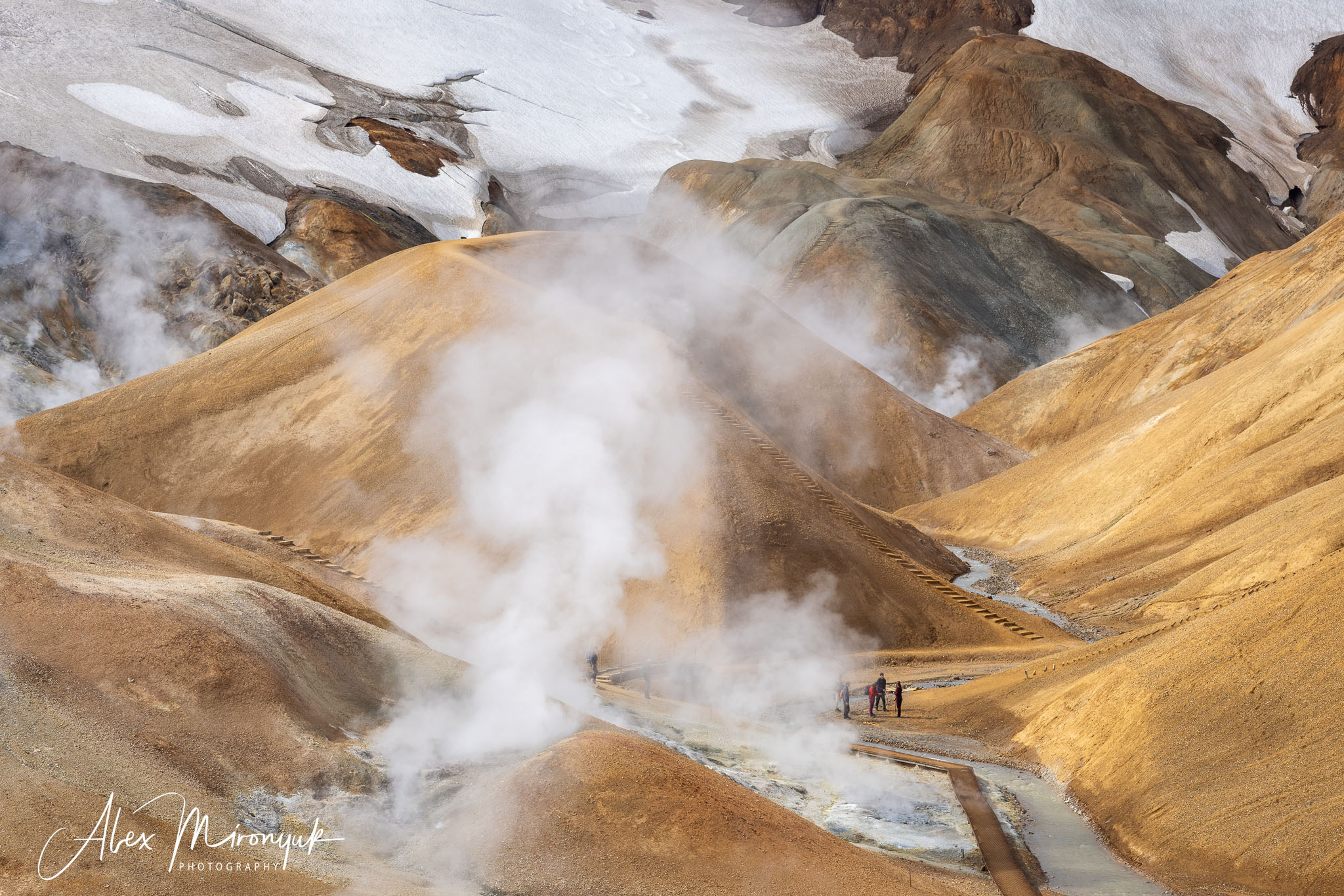 All Colors Of Iceland. Pet, Senior, Landscape, portrait studio, photographer in Miami and Sou