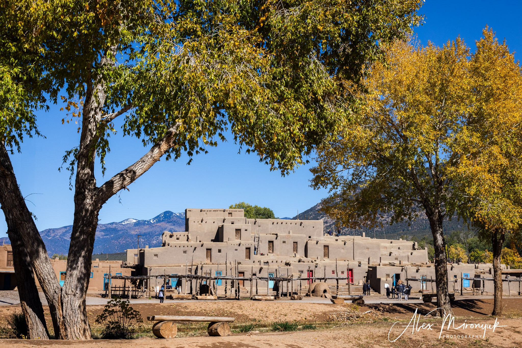 The Best of New Mexico. Pet, Senior, Landscape, portrait studio, photographer in Miami and Sou