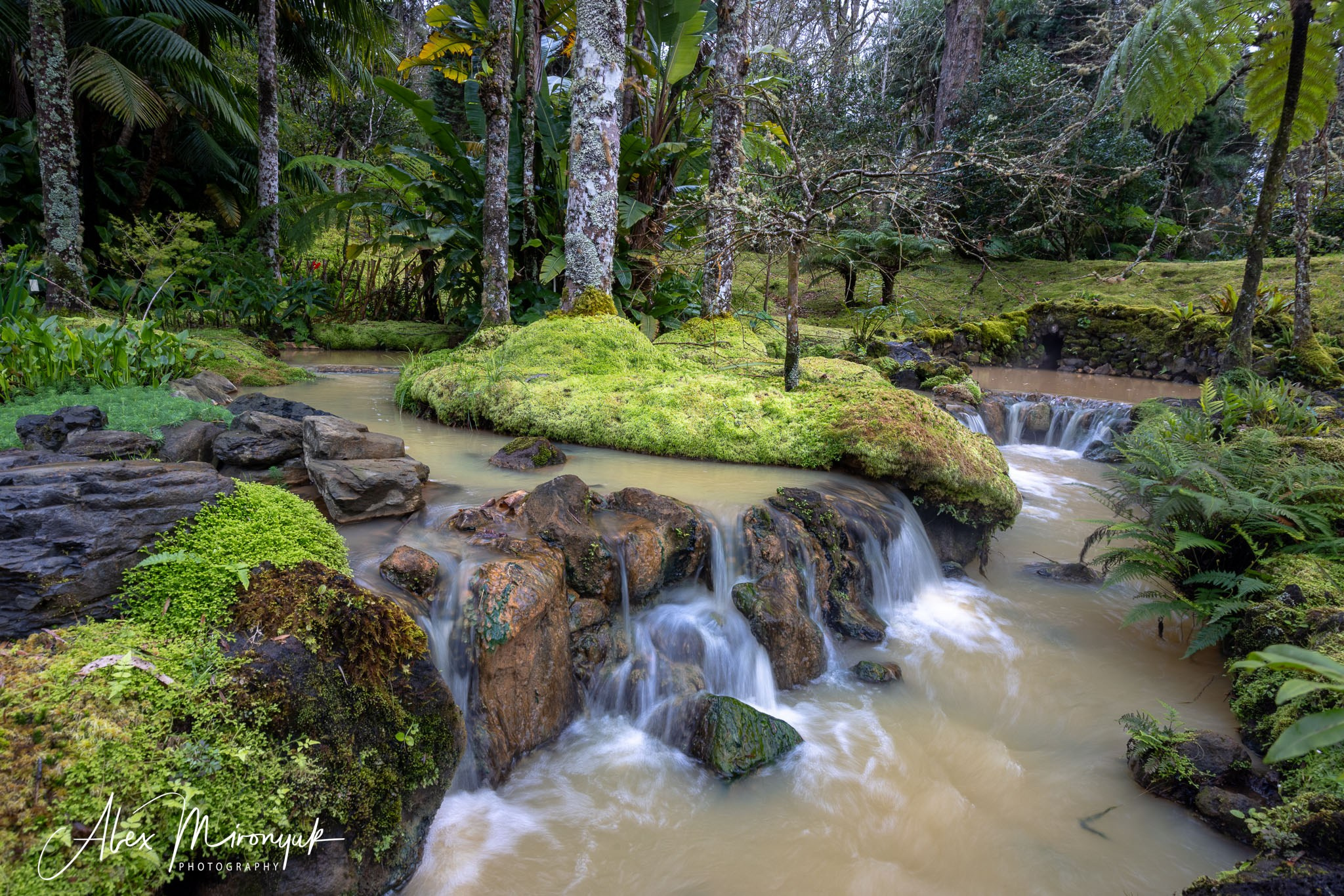Azores And Madeira. Pet, Senior, Landscape, portrait studio, photographer in Miami and Sou