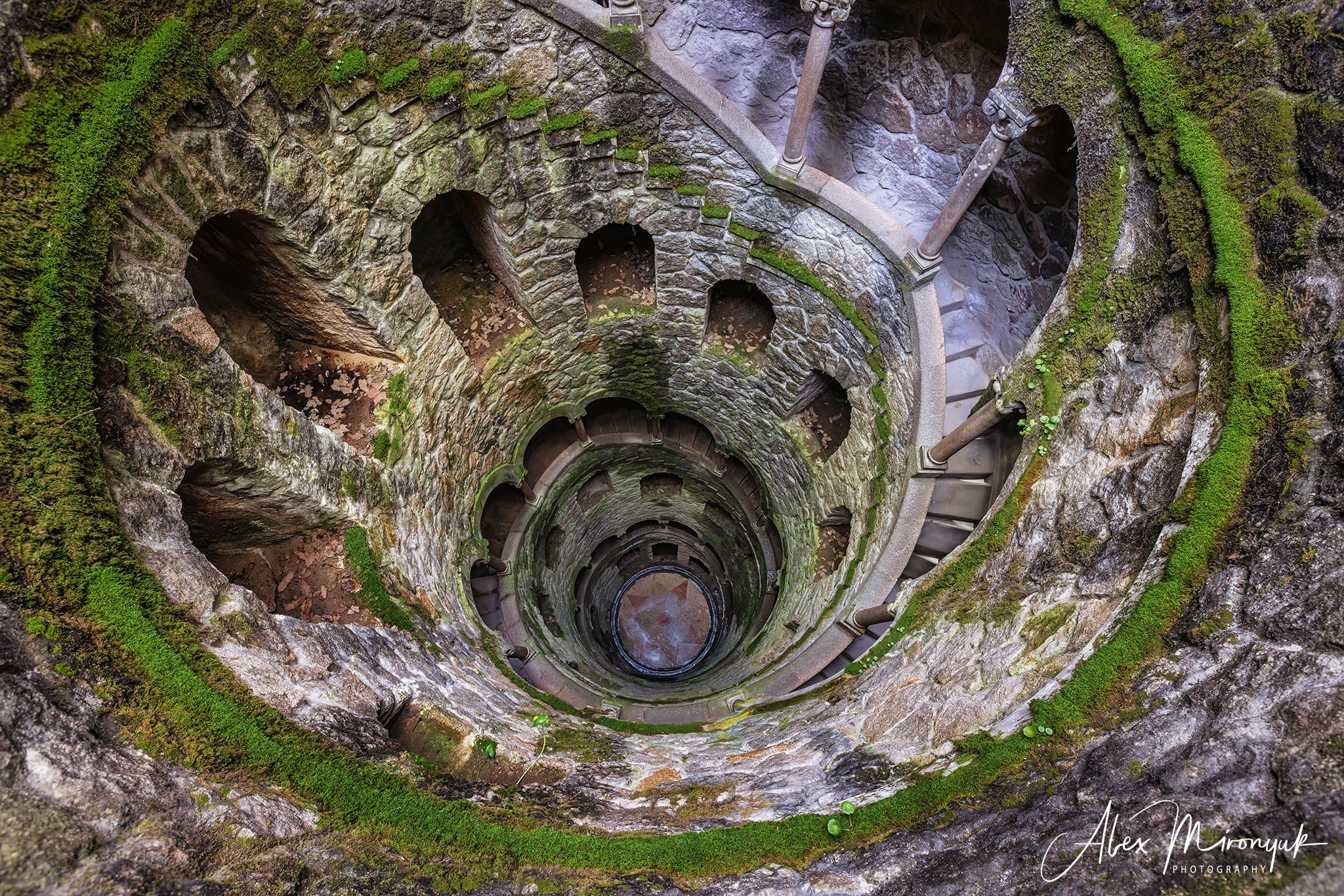 Portugal’s Scenic Treasures. Pet, Senior, Landscape, portrait studio, photographer in Miami and Sou