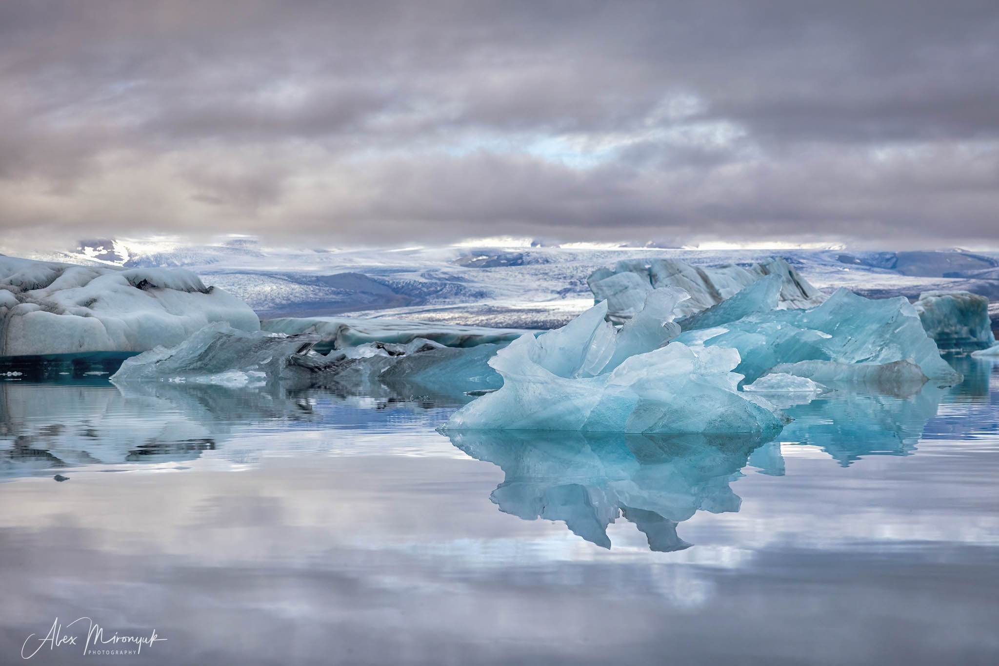 Winter in Iceland. Pet, Senior, Landscape, portrait studio, photographer in Miami and Sou