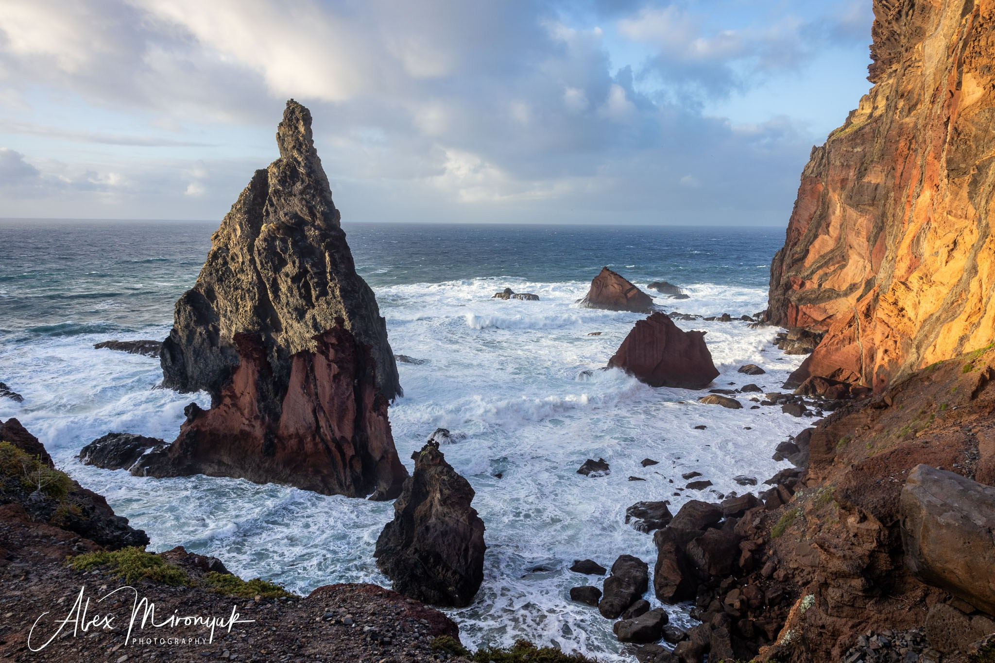 Azores And Madeira. Pet, Senior, Landscape, portrait studio, photographer in Miami and Sou