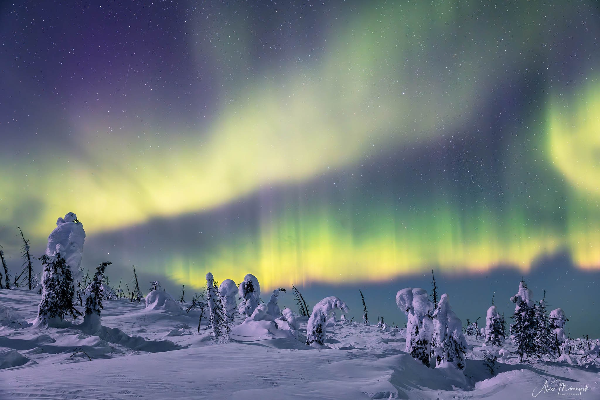 Chasing the Aurora Borealis. Pet, Senior, Landscape, portrait studio, photographer in Miami and Sou