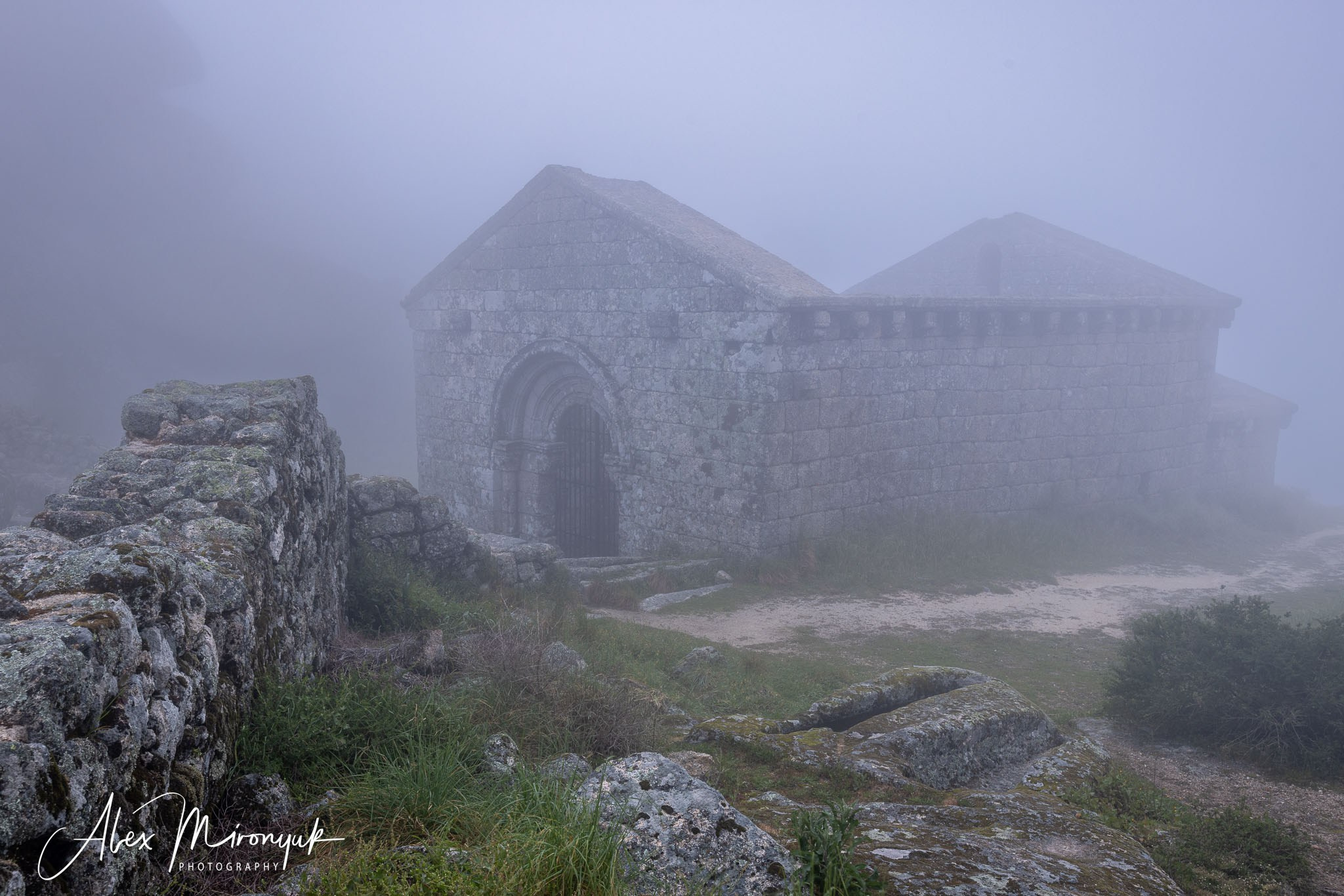 Portugal’s Scenic Treasures. Pet, Senior, Landscape, portrait studio, photographer in Miami and Sou