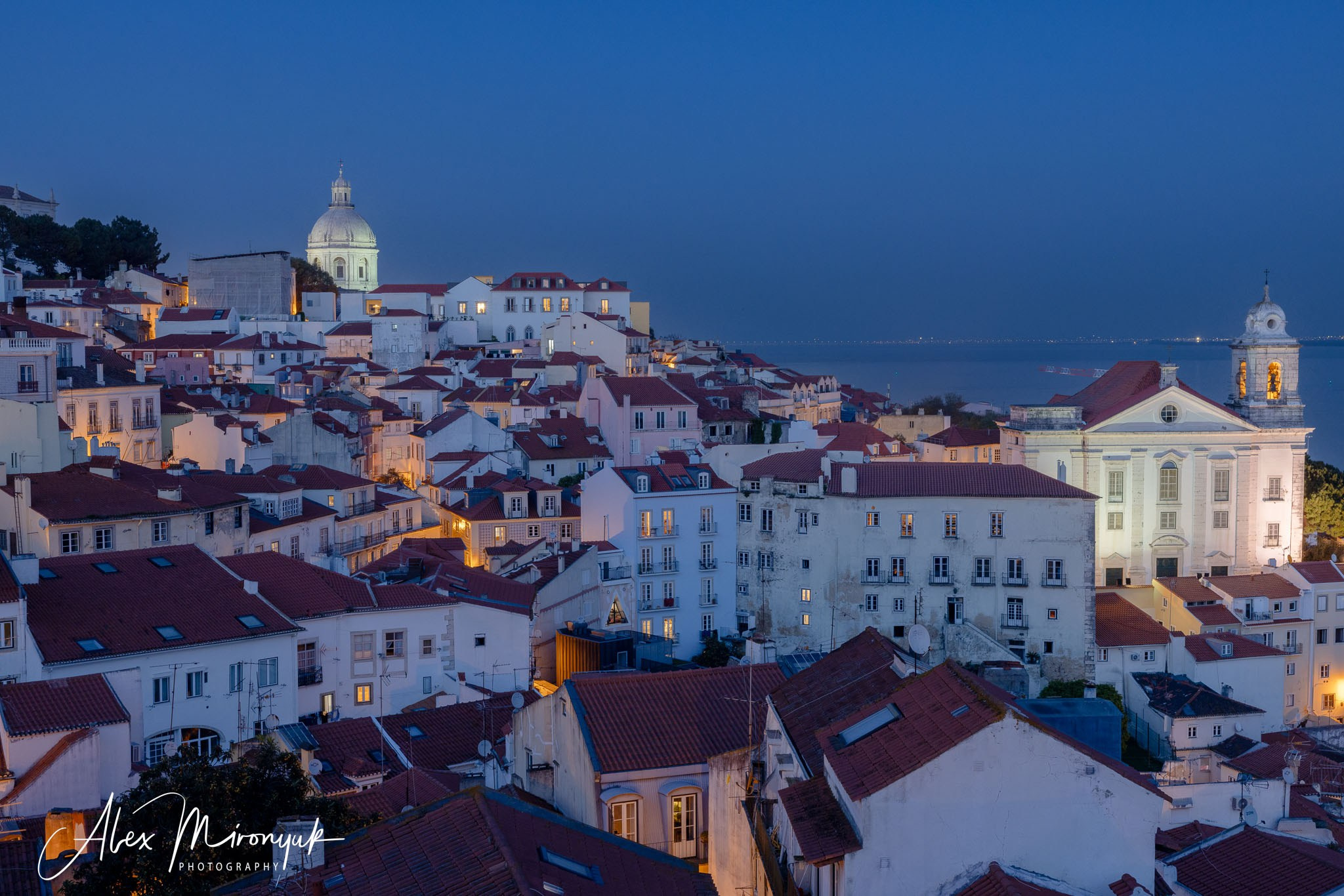 Portugal’s Scenic Treasures. Pet, Senior, Landscape, portrait studio, photographer in Miami and Sou