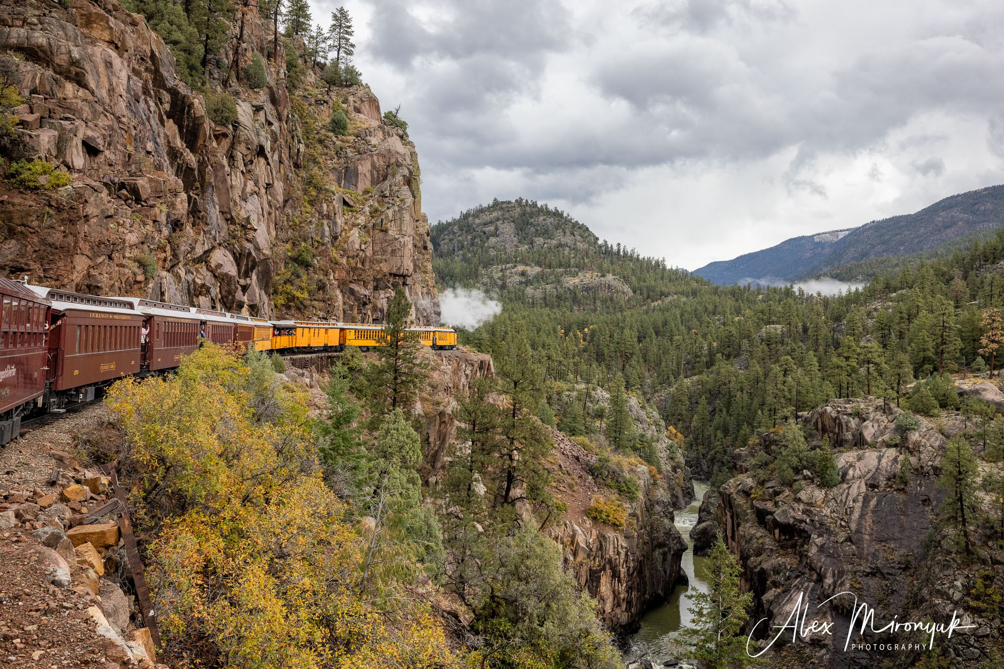 Fall Colors Of Colorado. Pet, Senior, Landscape, portrait studio, photographer in Miami and Sou