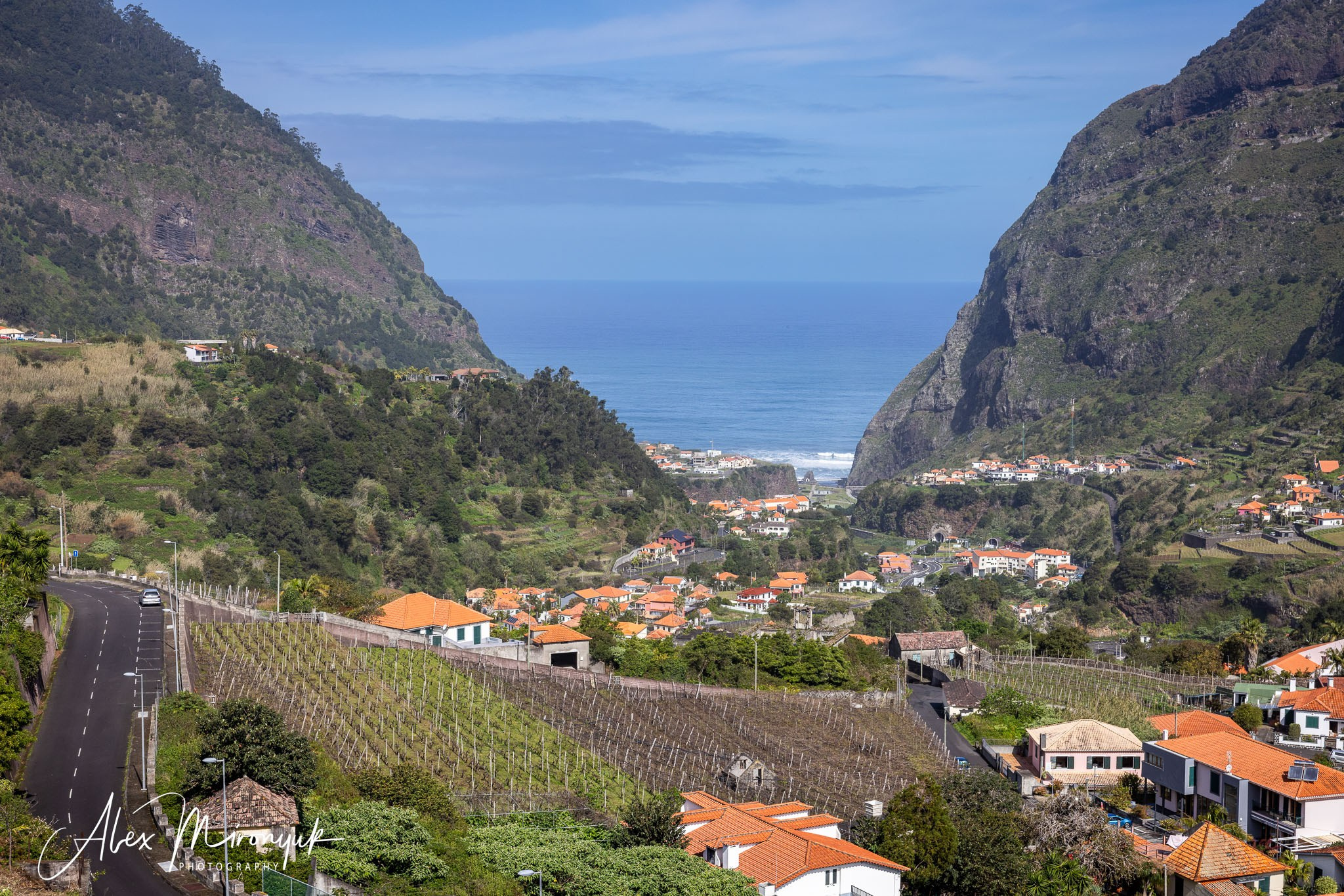 Azores And Madeira. Pet, Senior, Landscape, portrait studio, photographer in Miami and Sou