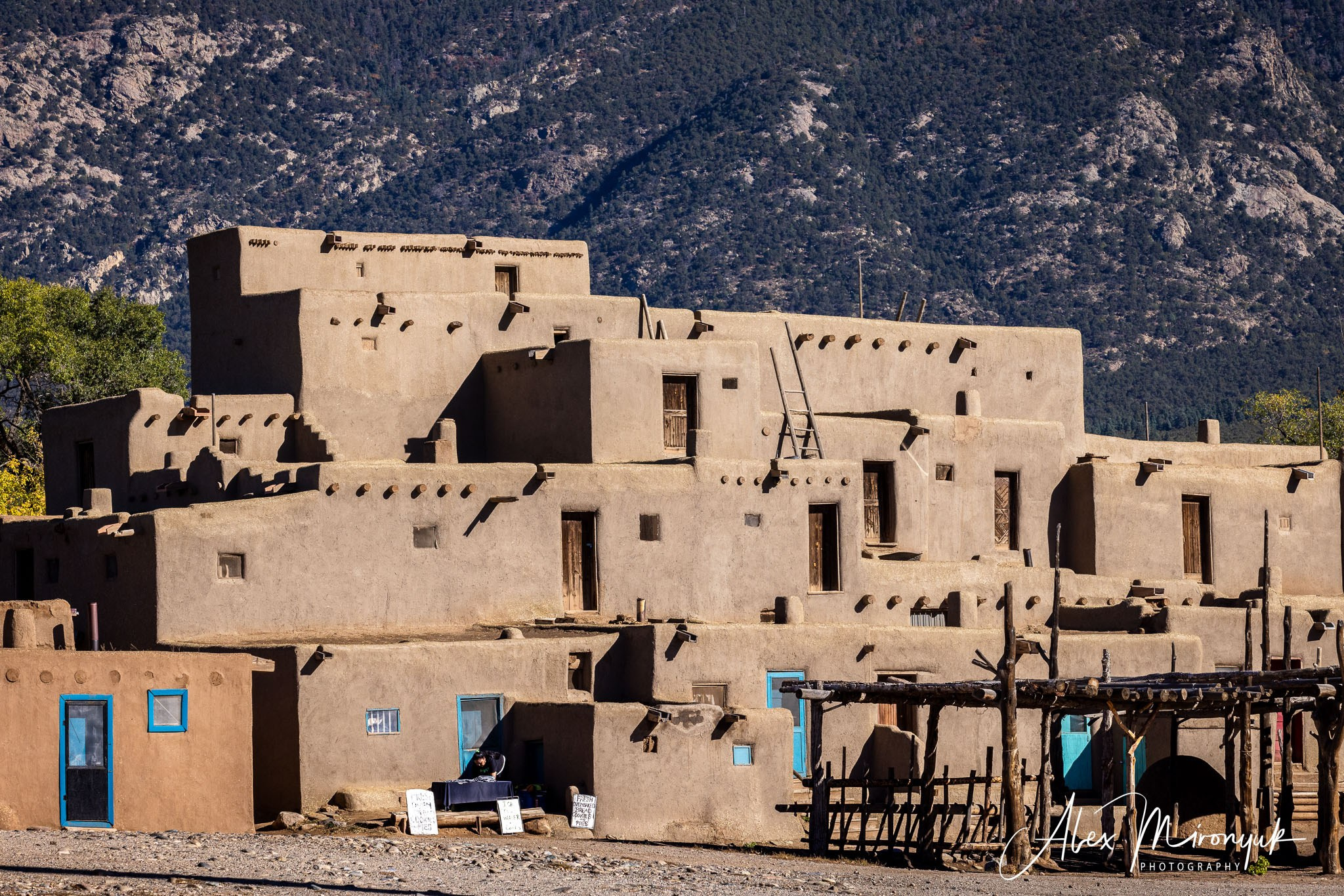 The Best of New Mexico. Pet, Senior, Landscape, portrait studio, photographer in Miami and Sou