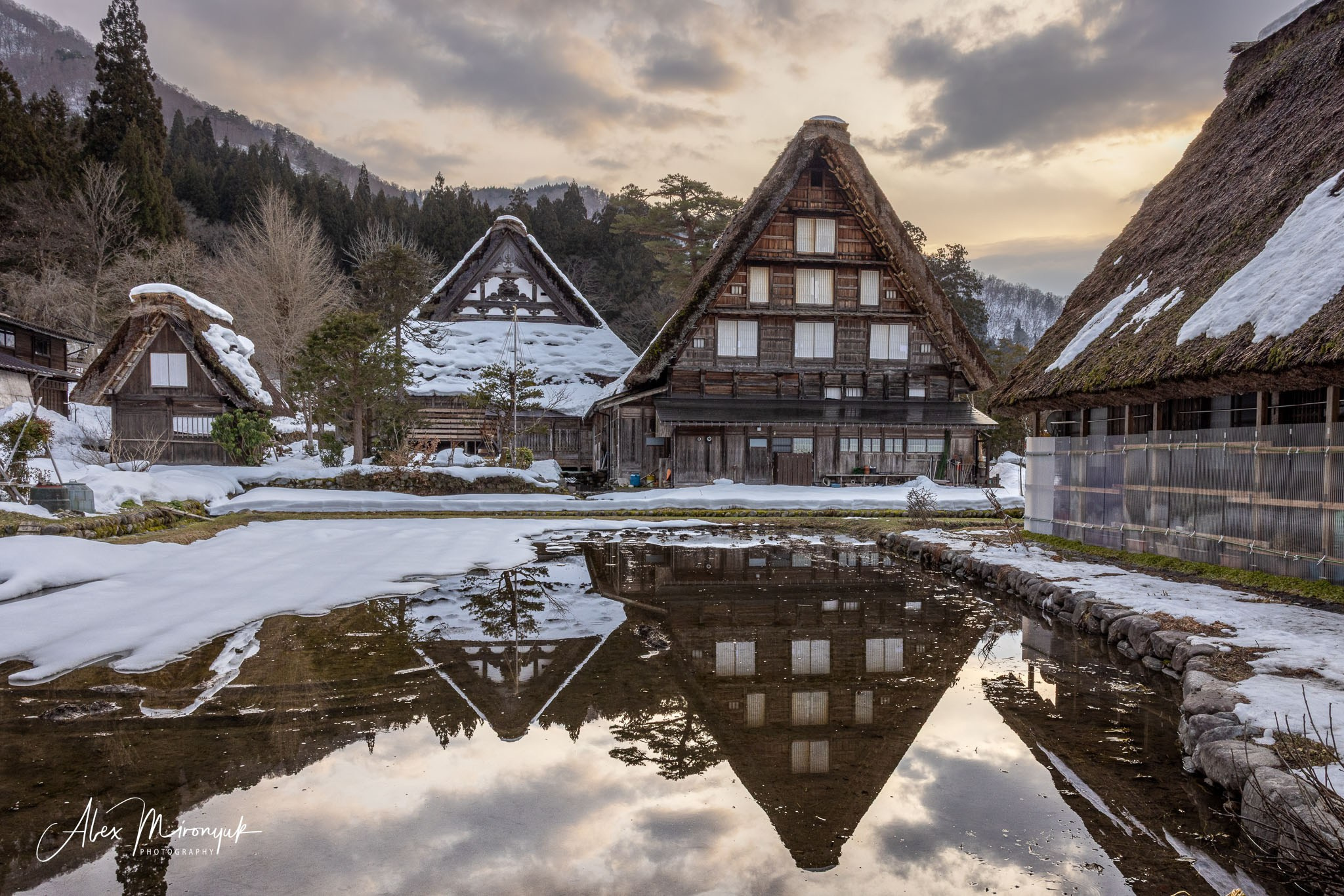 Winter Japan: Snow Monkeys, Castles & Timeless Villages. Pet, Senior, Landscape, portrait studio, photographer in Miami and Sou